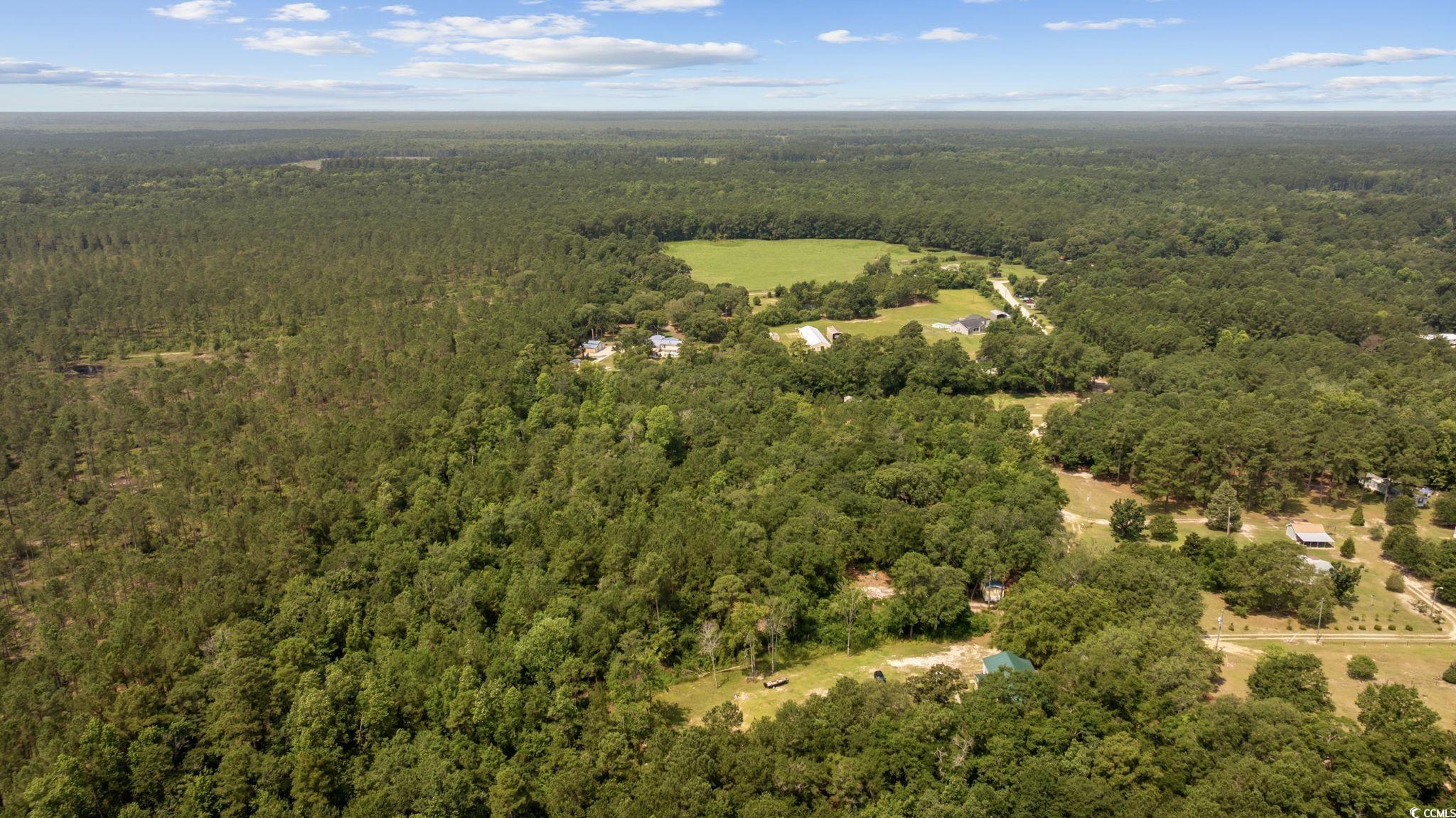 7258 Lawrimore Ln., Conway, South Carolina image 13