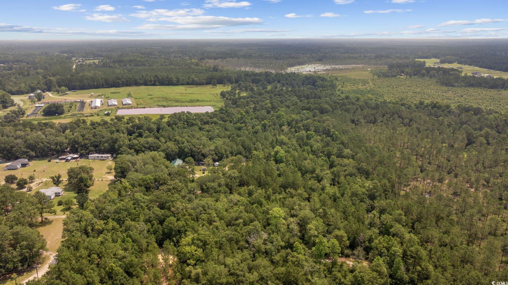 7258 Lawrimore Ln., Conway, South Carolina image 15