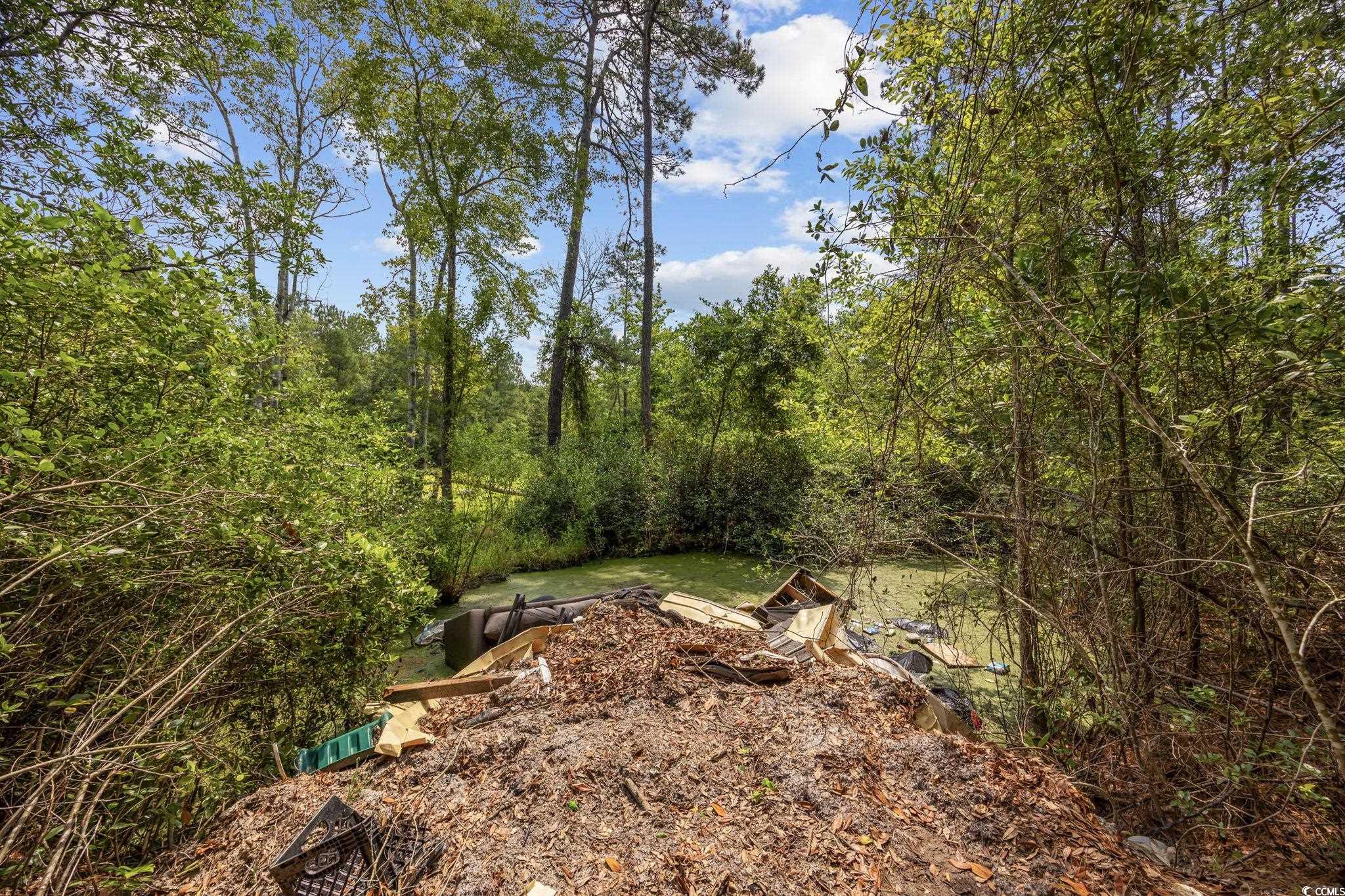 7258 Lawrimore Ln., Conway, South Carolina image 4