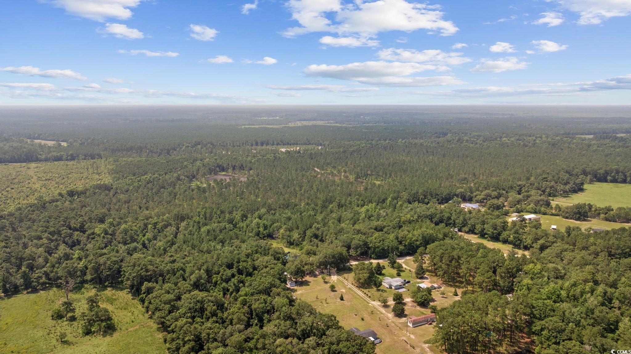 7258 Lawrimore Ln., Conway, South Carolina image 8