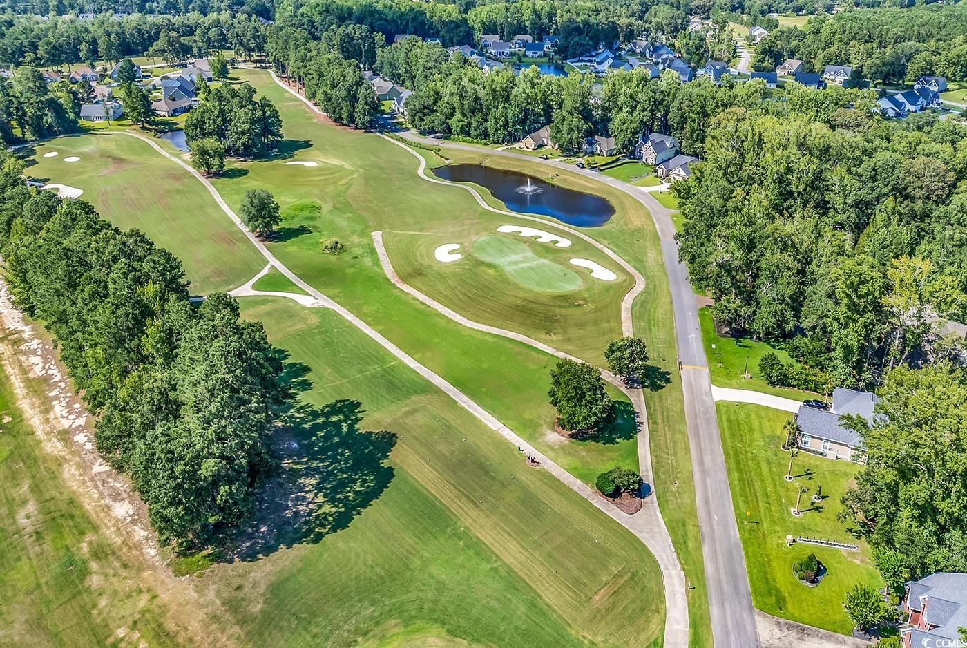 765 Shaftesbury Ln., Conway, South Carolina image 35