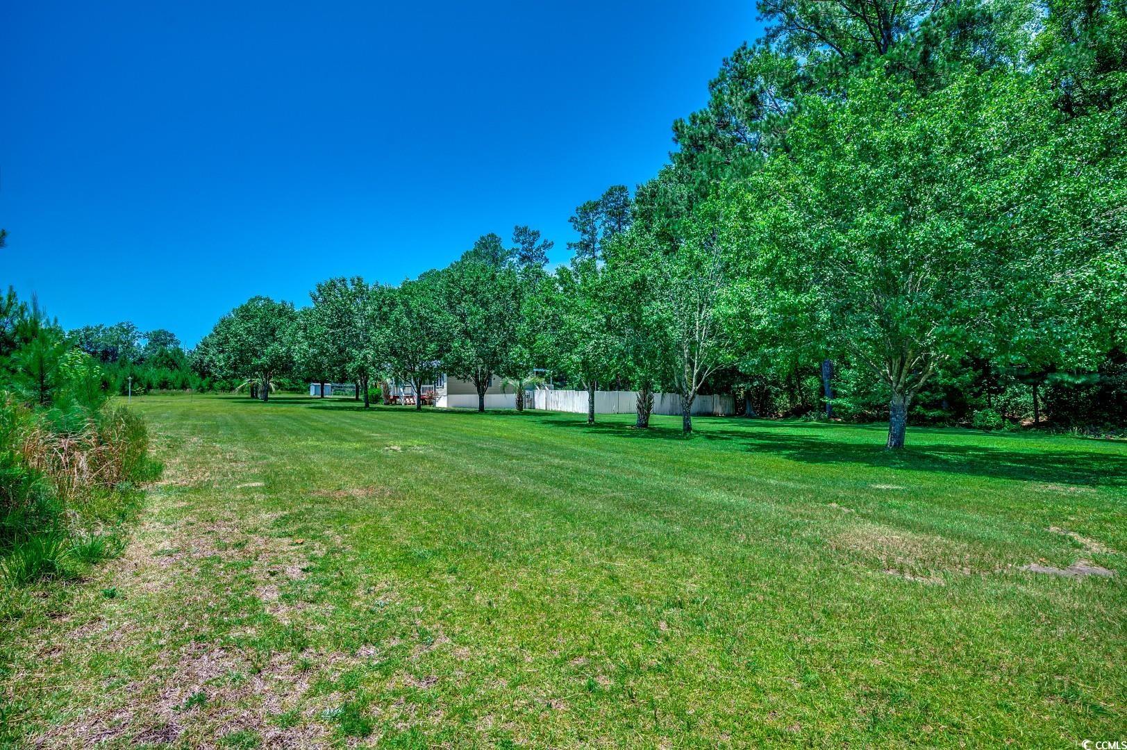 2340 Cane Branch Rd., Loris, South Carolina image 31