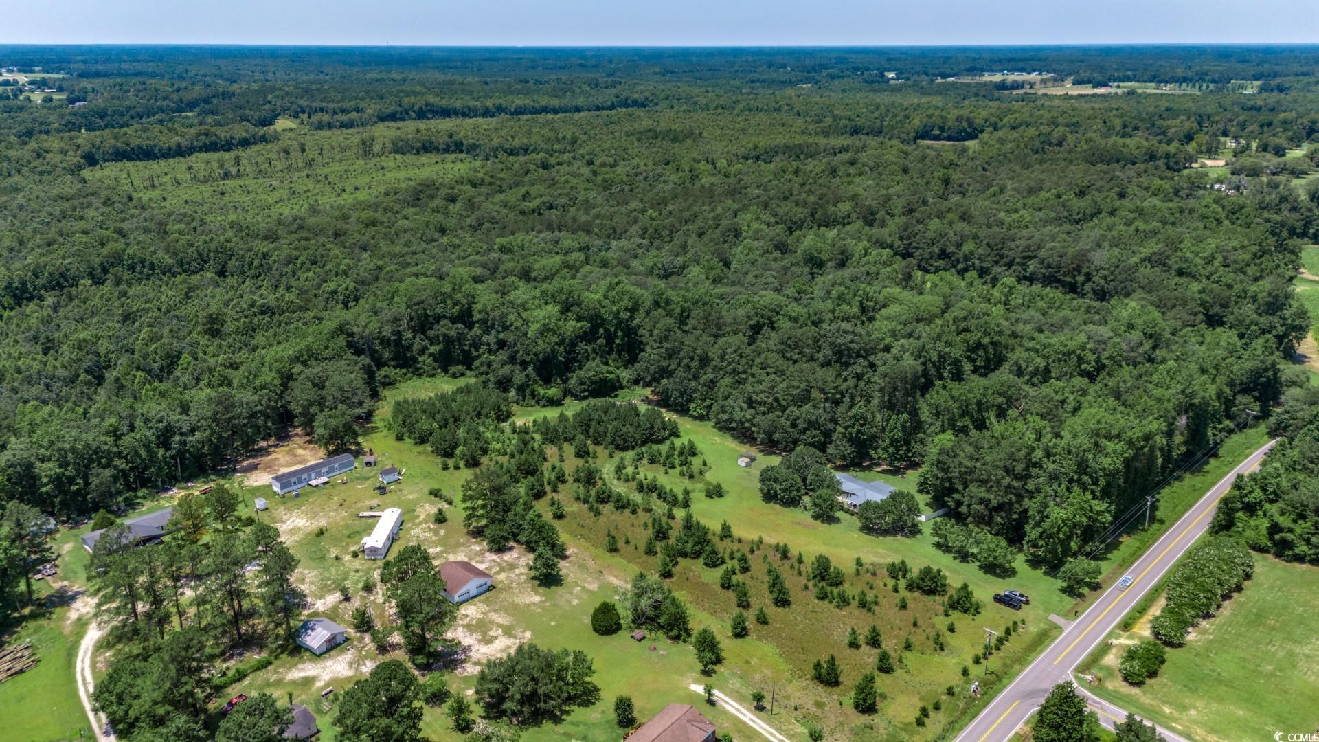 2340 Cane Branch Rd., Loris, South Carolina image 35