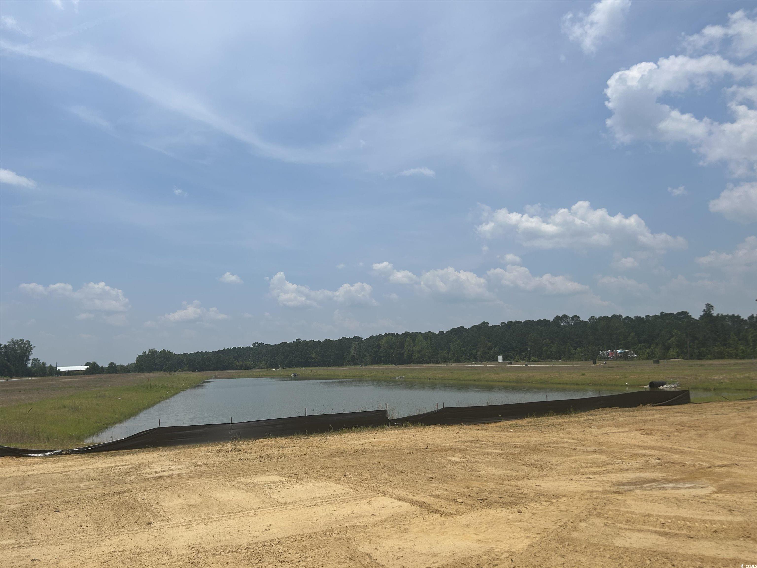 119 Westfield Circle, Conway, South Carolina image 12