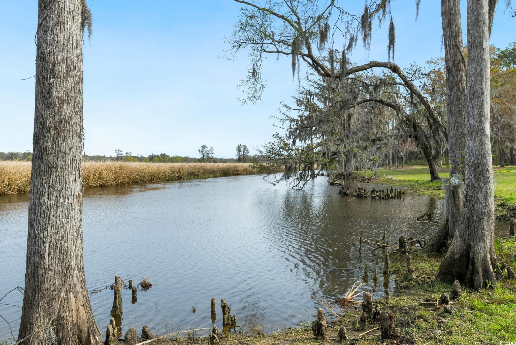 52 Trimmings Ct., Pawleys Island, South Carolina image 4