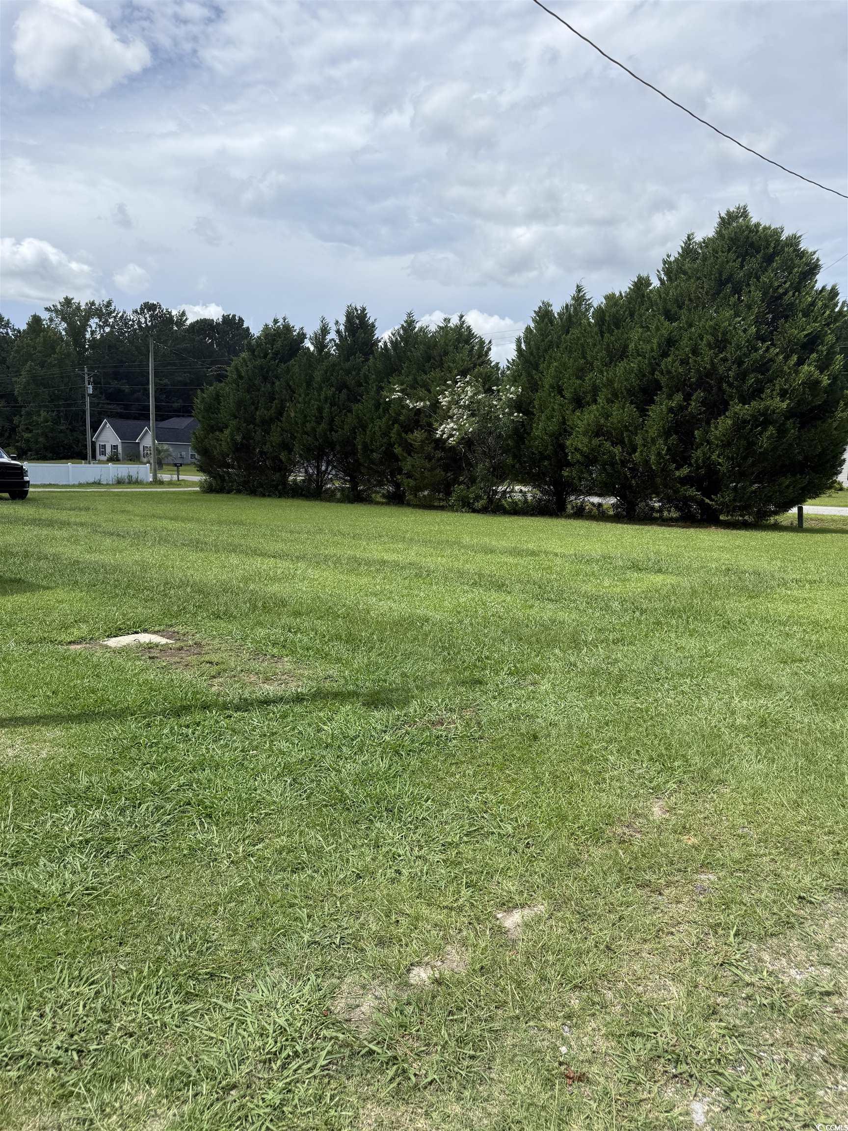 274 Morris Rd., Conway, South Carolina image 12