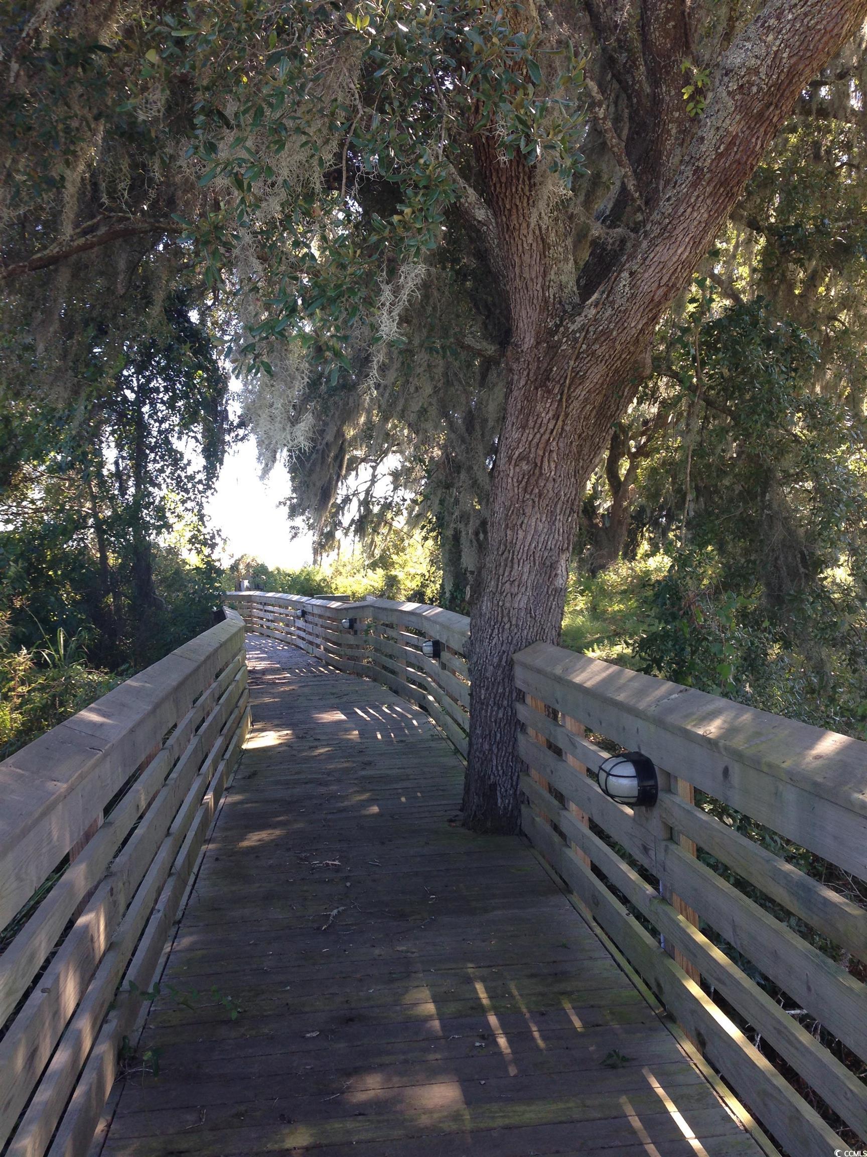 Lot 142 Millbank Rd., Georgetown, South Carolina image 20