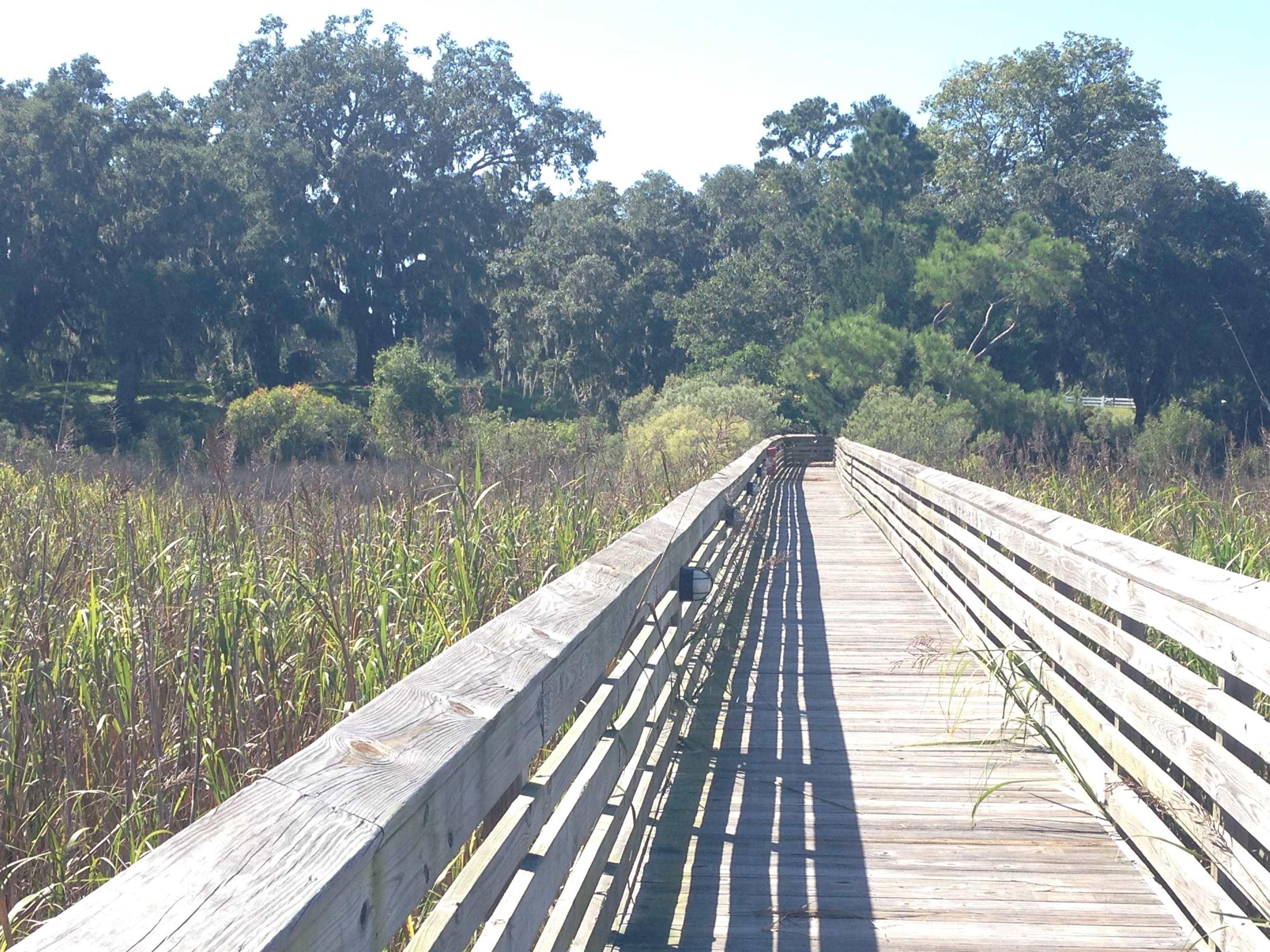 Lot 142 Millbank Rd., Georgetown, South Carolina image 22
