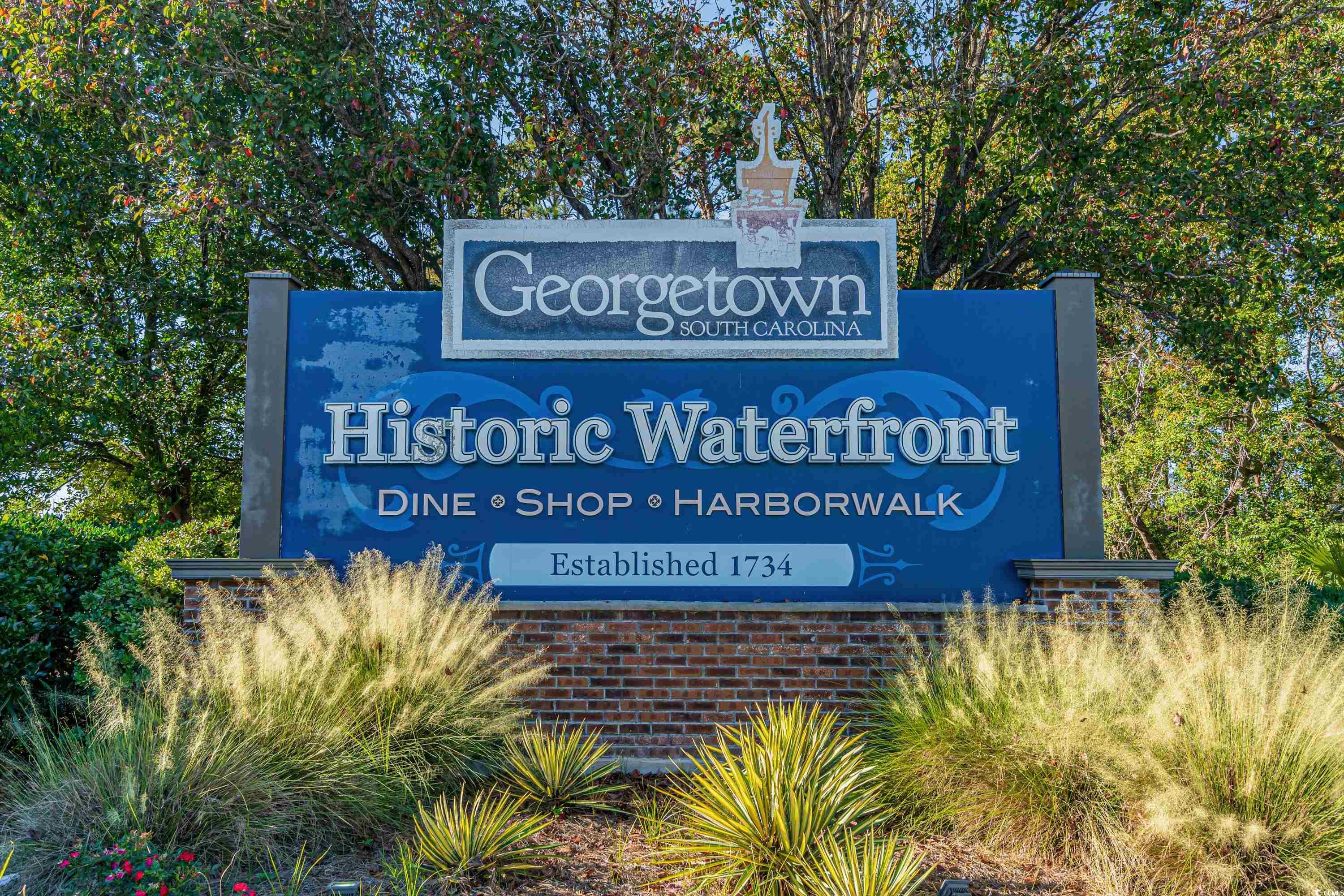 Lot 142 Millbank Rd., Georgetown, South Carolina image 26