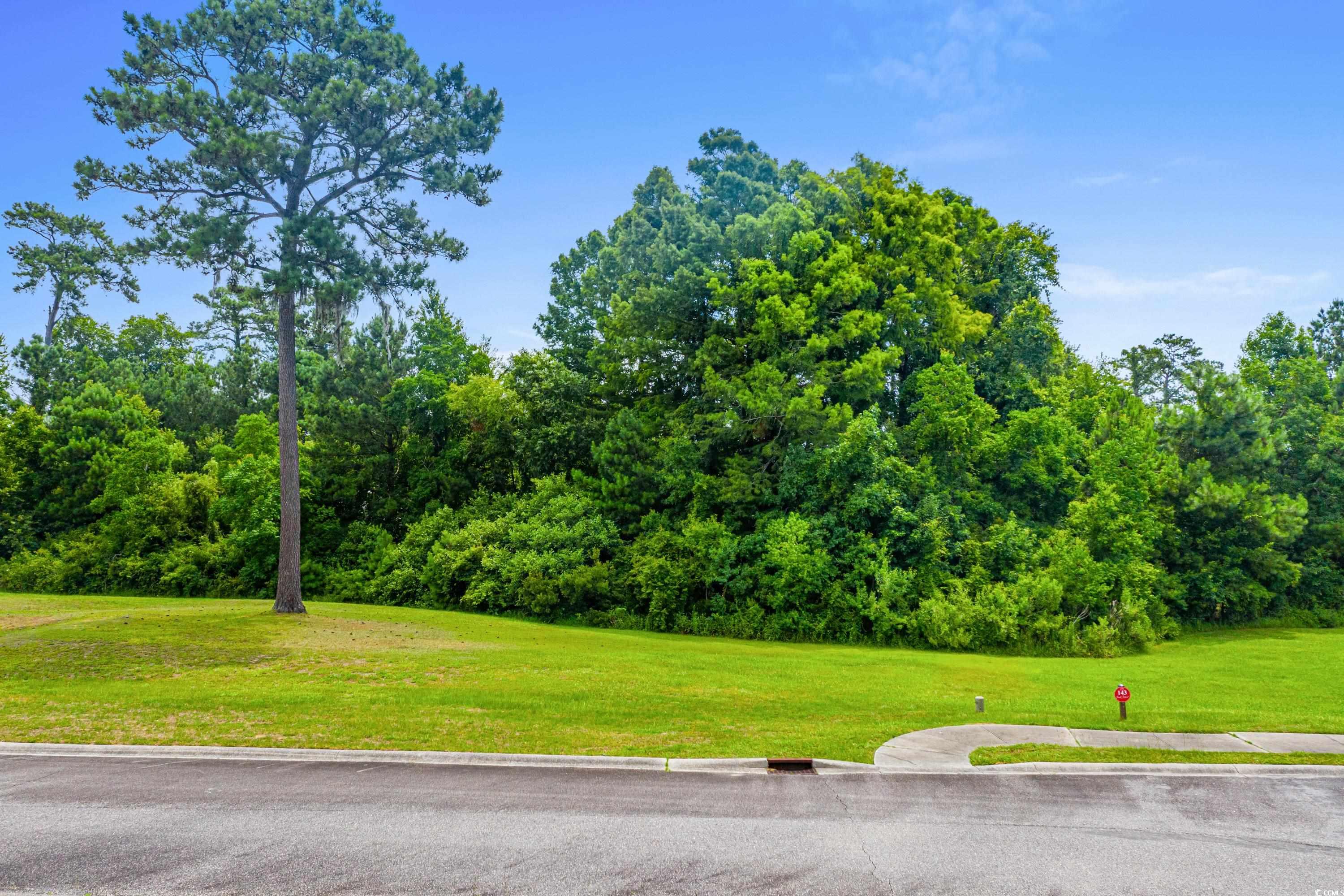 Lot 142 Millbank Rd., Georgetown, South Carolina image 7