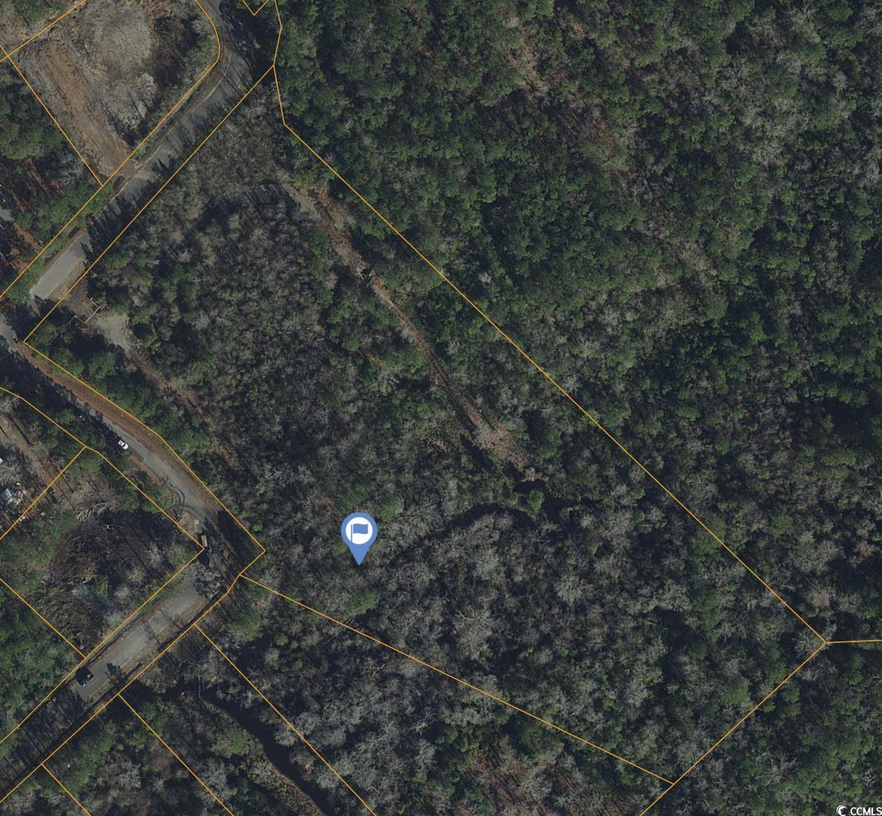 1215 Rainbow Dr., Loris, South Carolina image 2