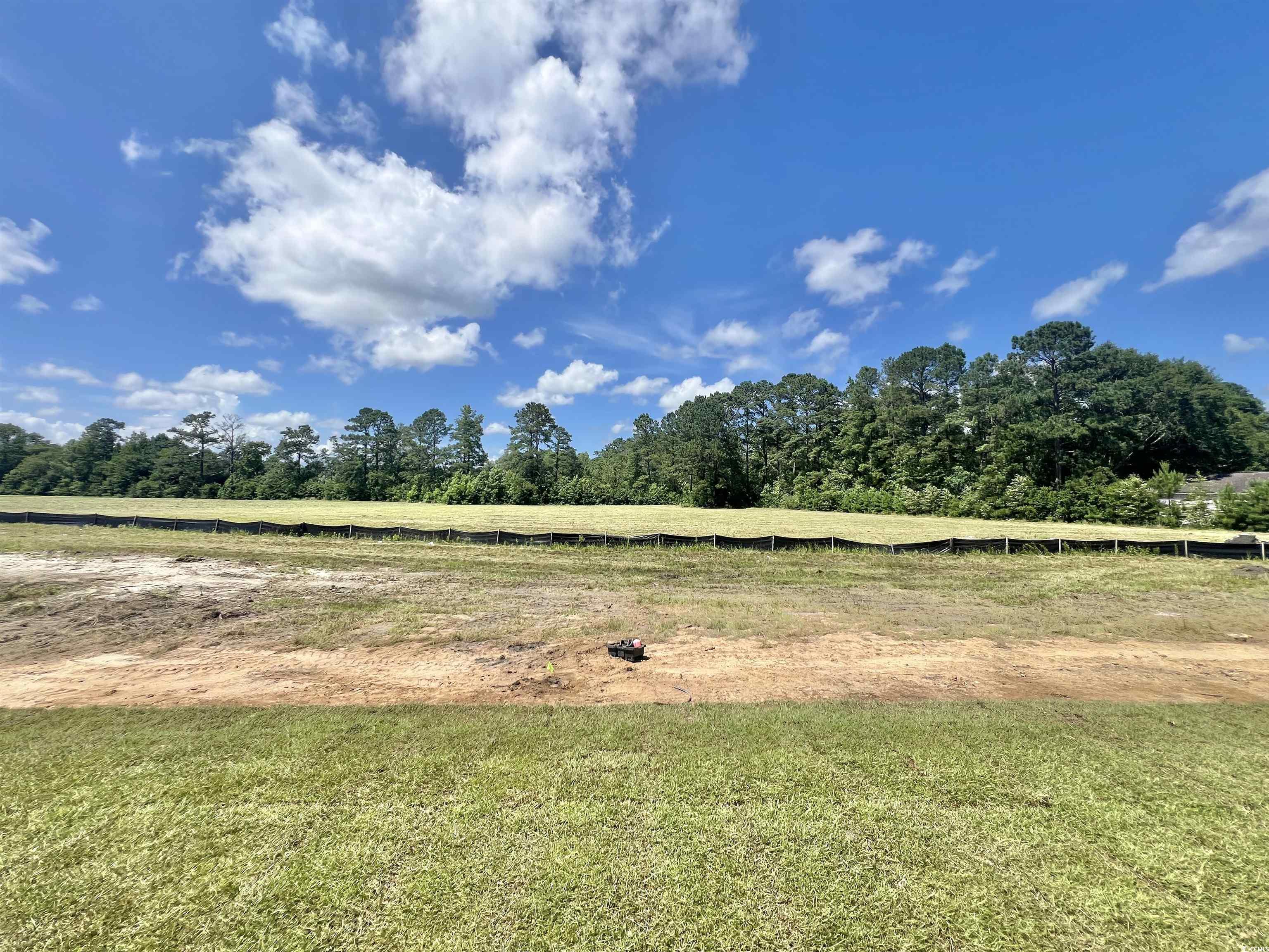 197 Norris Ln, Loris, South Carolina image 3