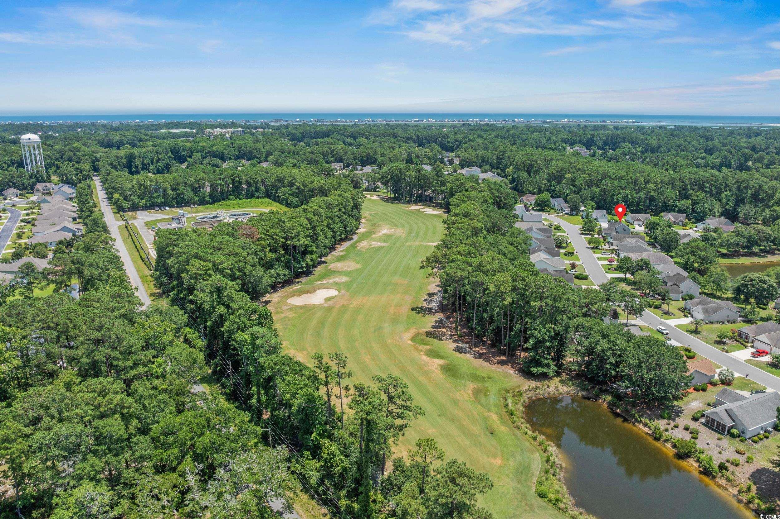 4539 Fringetree Dr., Murrells Inlet, South Carolina image 35