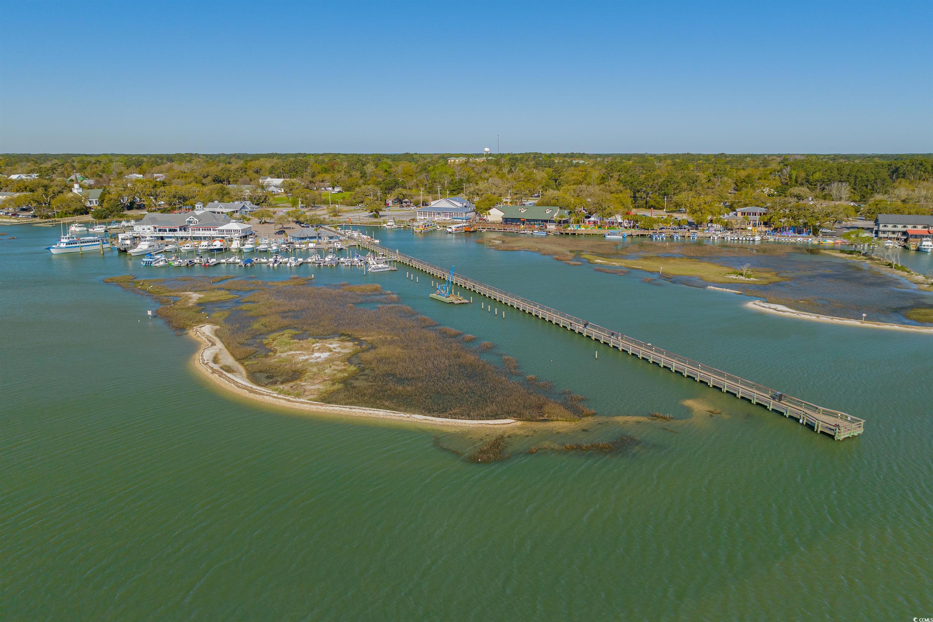 4539 Fringetree Dr., Murrells Inlet, South Carolina image 39