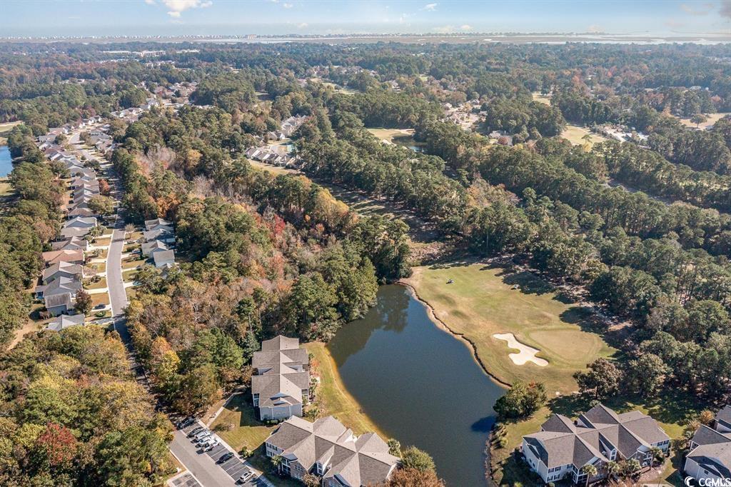 4645 Fringetree Dr. #10B, Murrells Inlet, South Carolina image 33