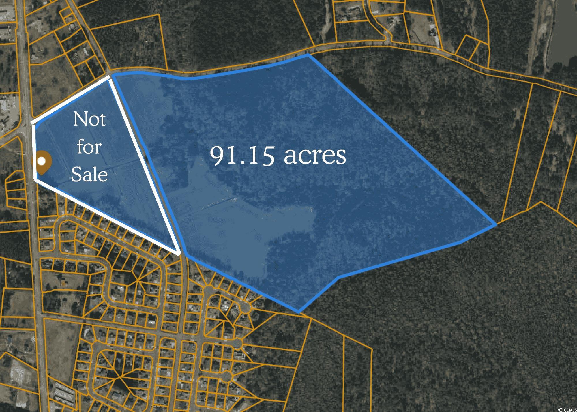 TBD Pitch Landing Rd., Conway, South Carolina image 1