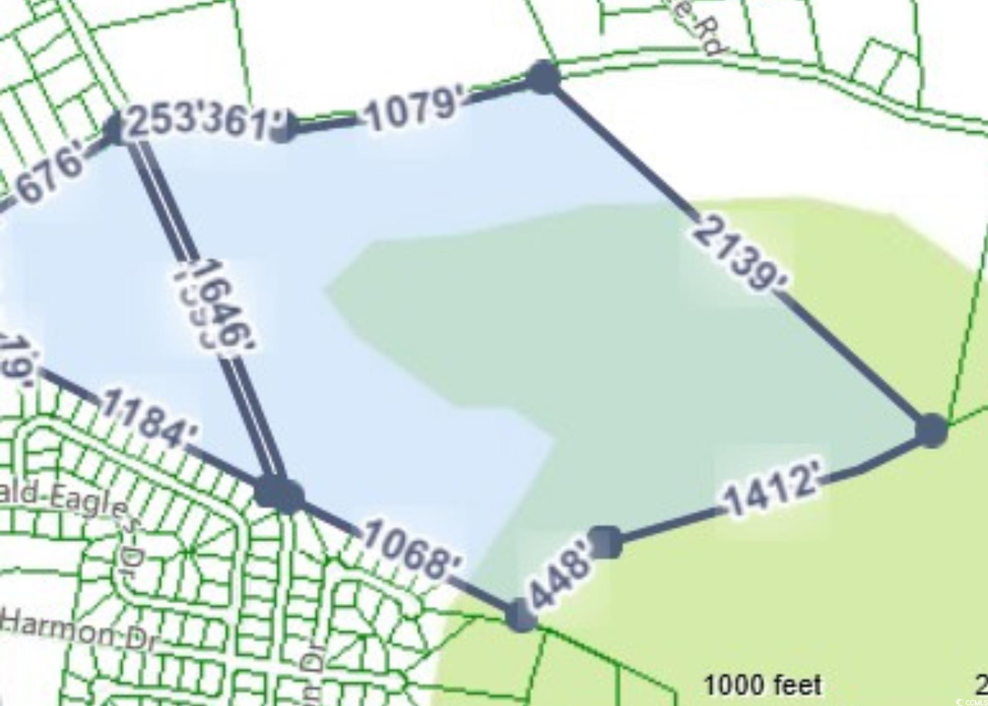TBD Pitch Landing Rd., Conway, South Carolina image 3