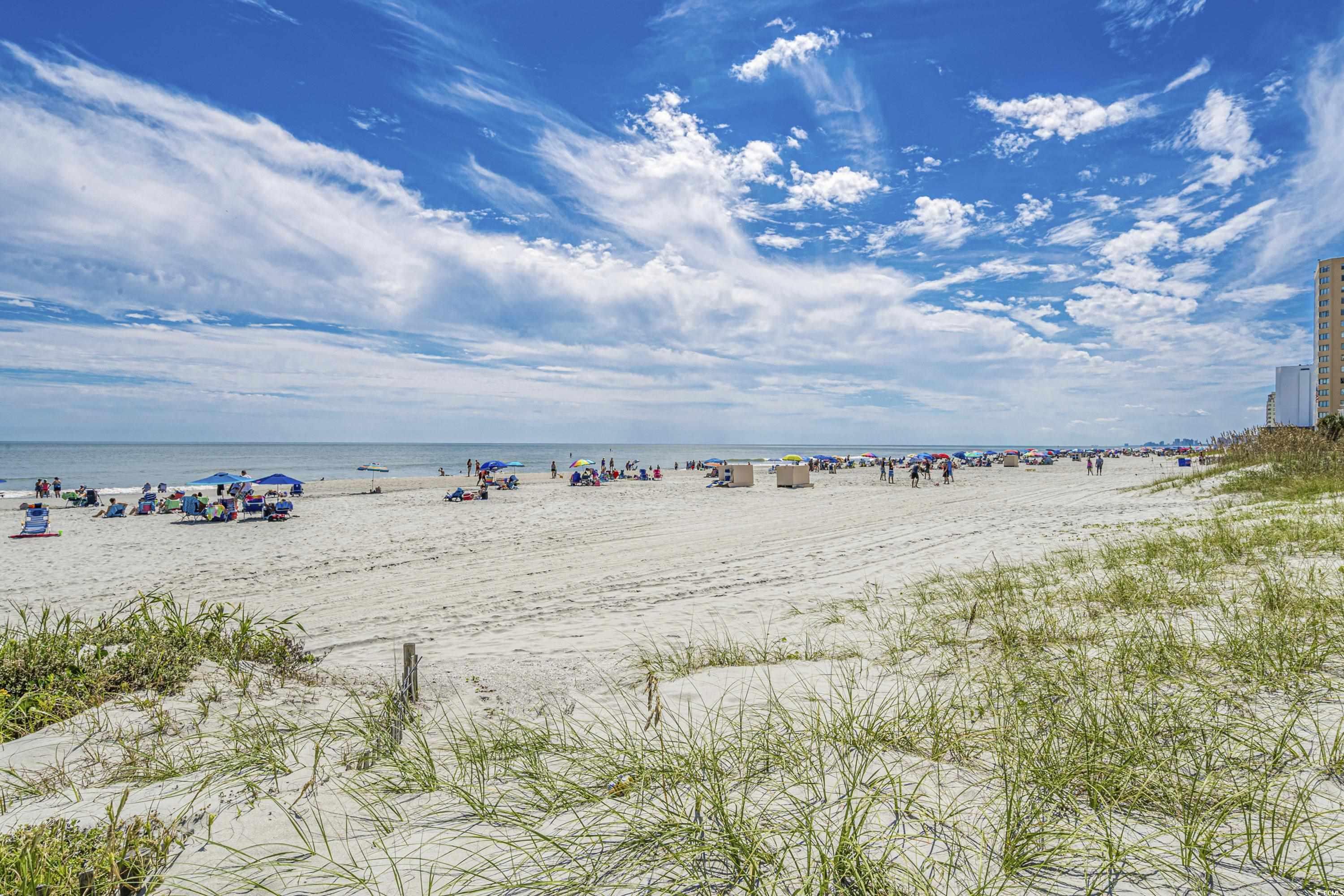 4502 Boxwood St., Myrtle Beach, South Carolina image 38