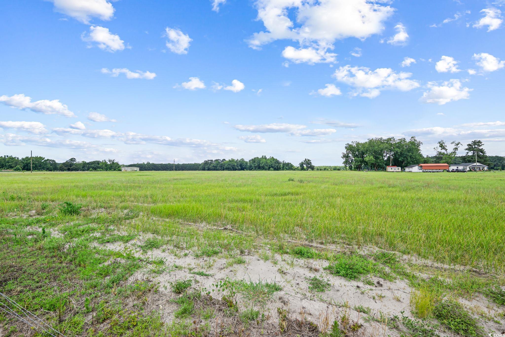 3110 Bluff Rd., Marion, South Carolina image 24