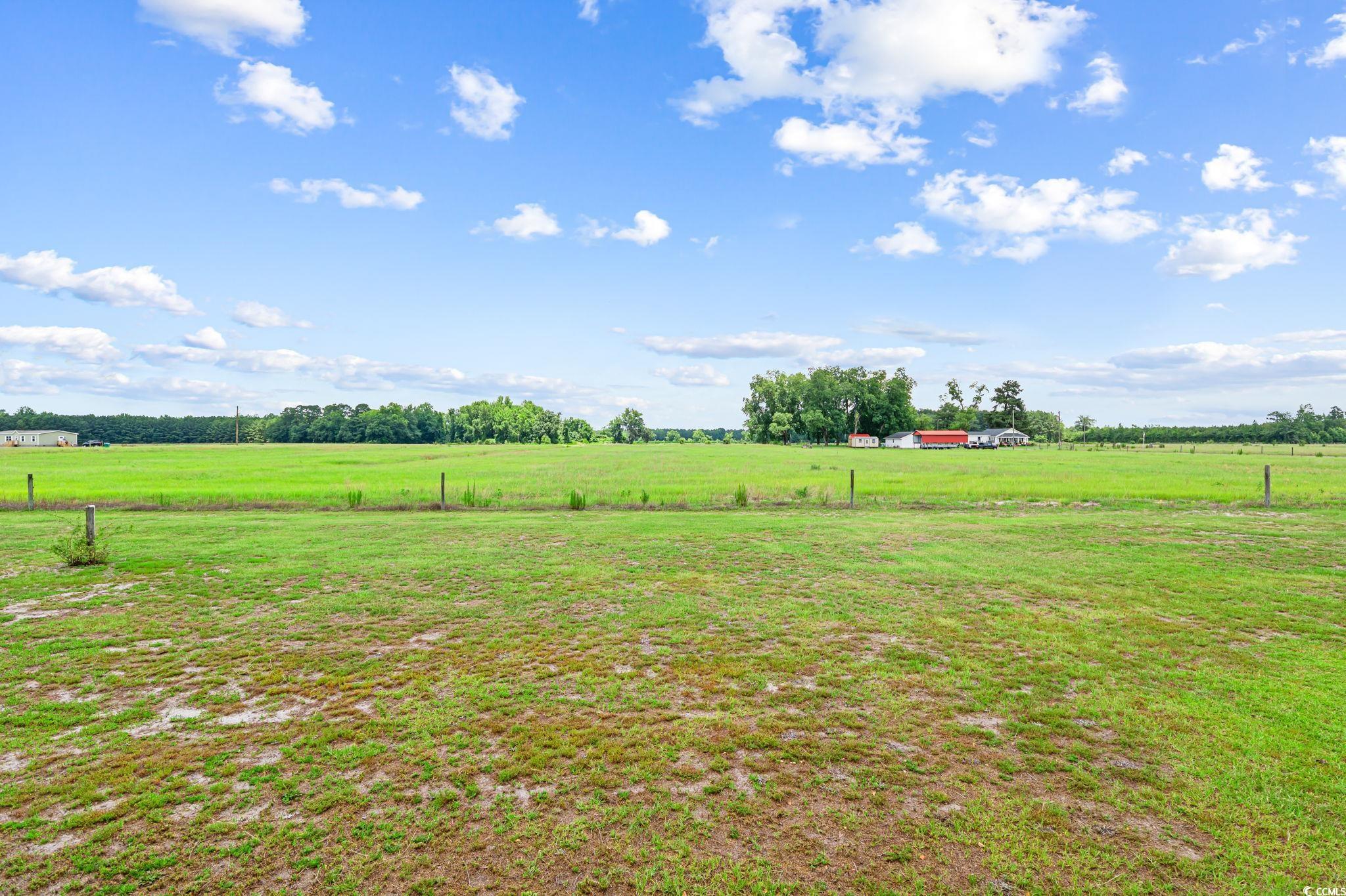 3110 Bluff Rd., Marion, South Carolina image 26