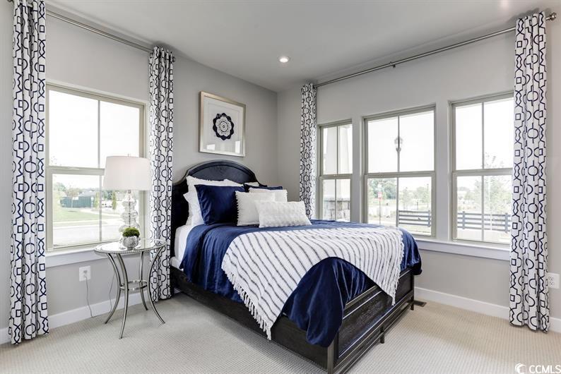 1645 Hope Pointe Dr, North Myrtle Beach, South Carolina image 11
