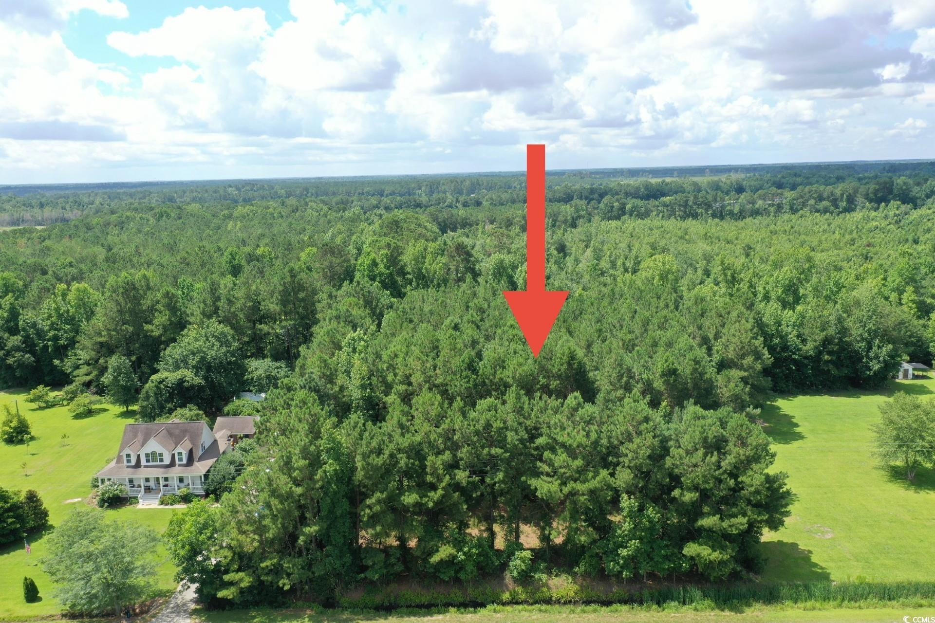 TBD Hamps Rd. Nichols, SC 29581