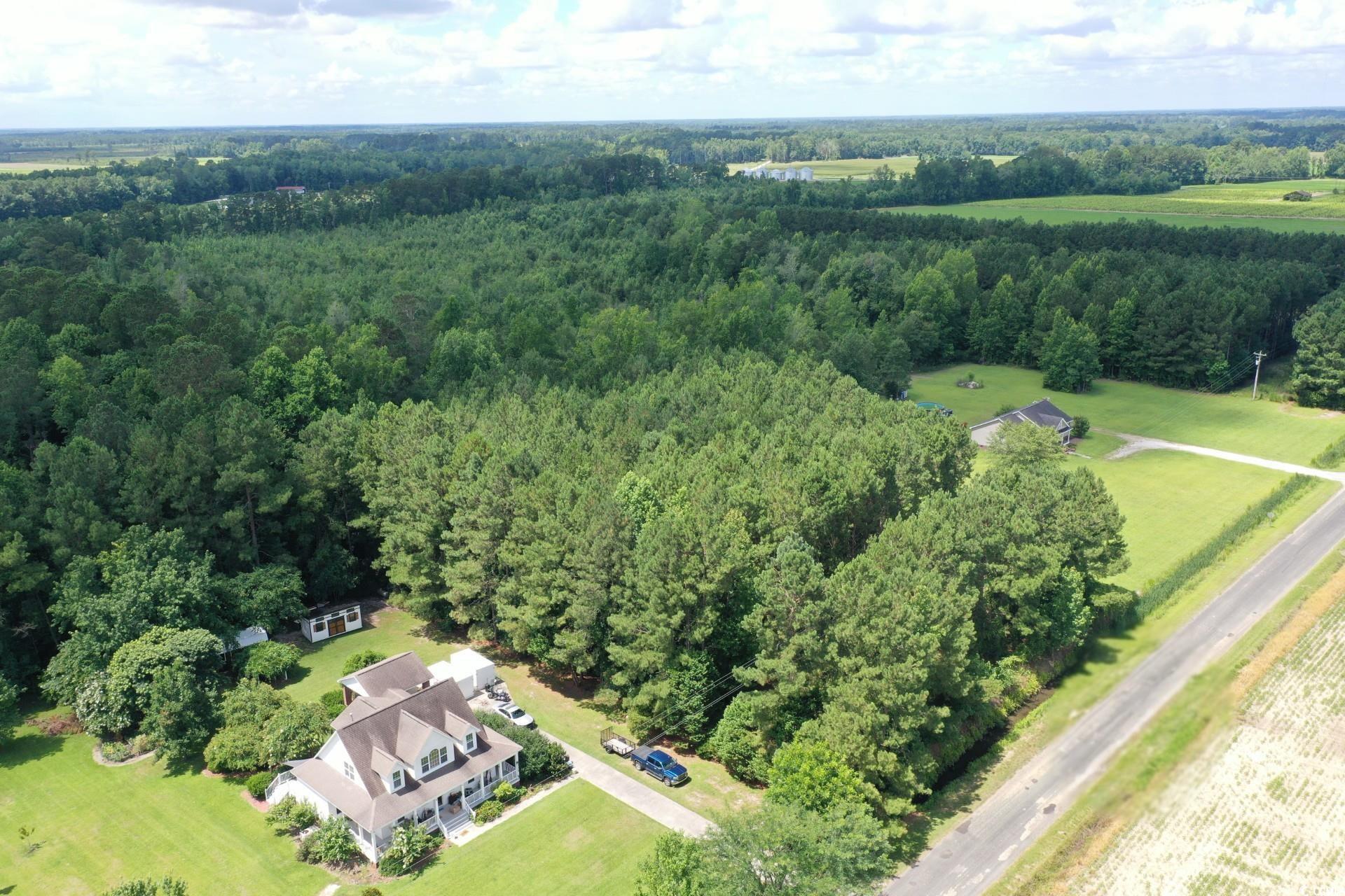 TBD Hamps Rd., Nichols, South Carolina image 3