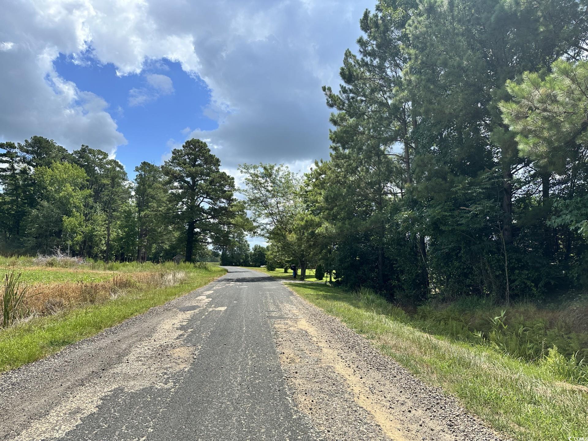 TBD Hamps Rd., Nichols, South Carolina image 5