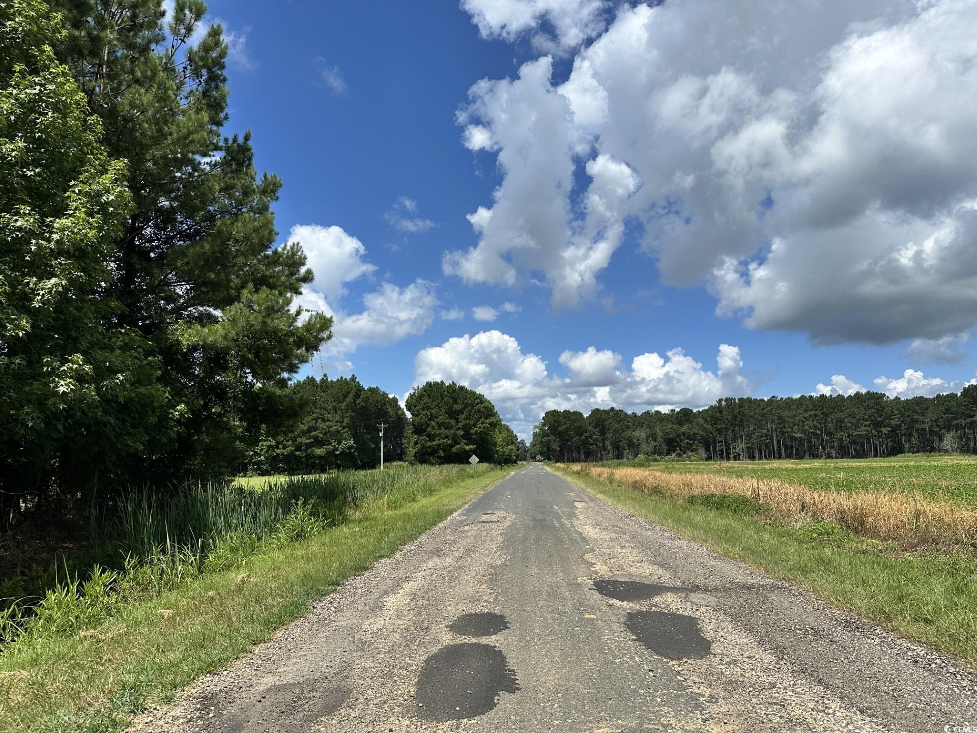 TBD Hamps Rd., Nichols, South Carolina image 6