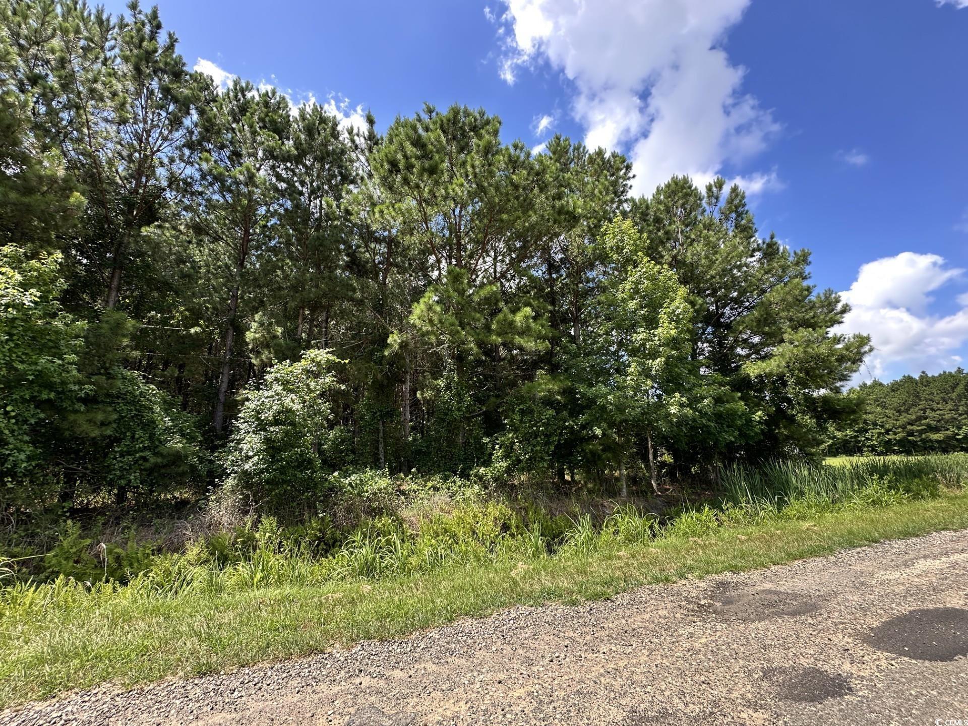 TBD Hamps Rd., Nichols, South Carolina image 7