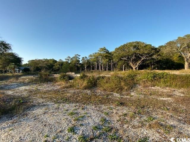 TBD C Jacks Circle Rd., North Myrtle Beach, South Carolina image 3