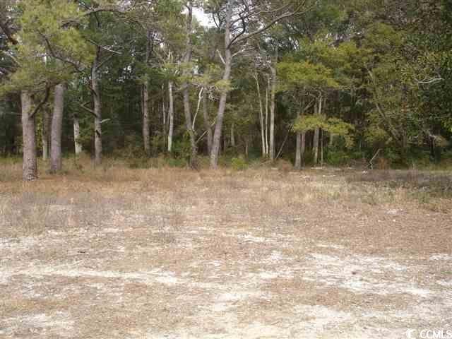 tbd A Jacks Circle Rd. North Myrtle Beach, SC 29582