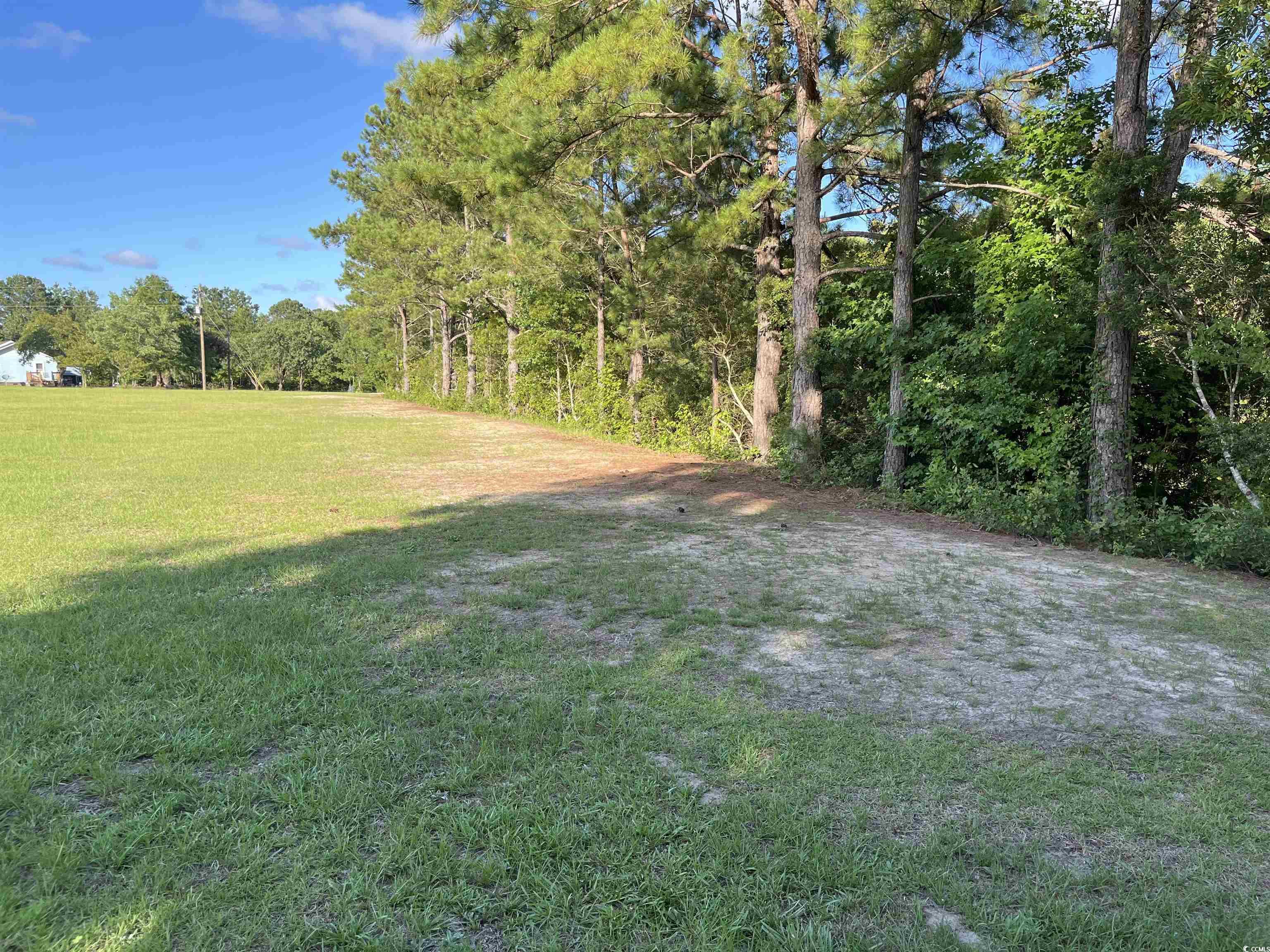 TBD Volunteer Dr., Loris, South Carolina image 7