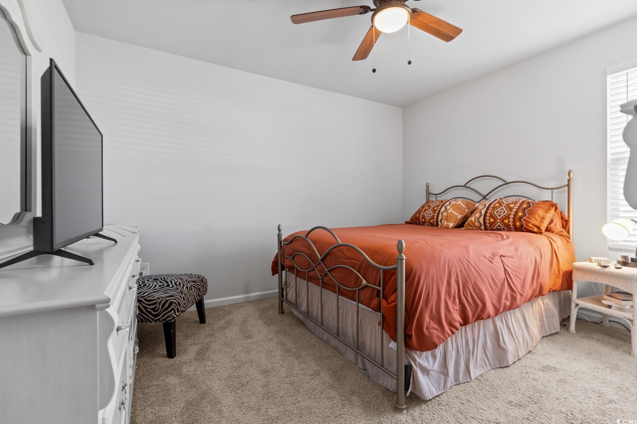 962 Cherrystone Loop, Conway, South Carolina image 22