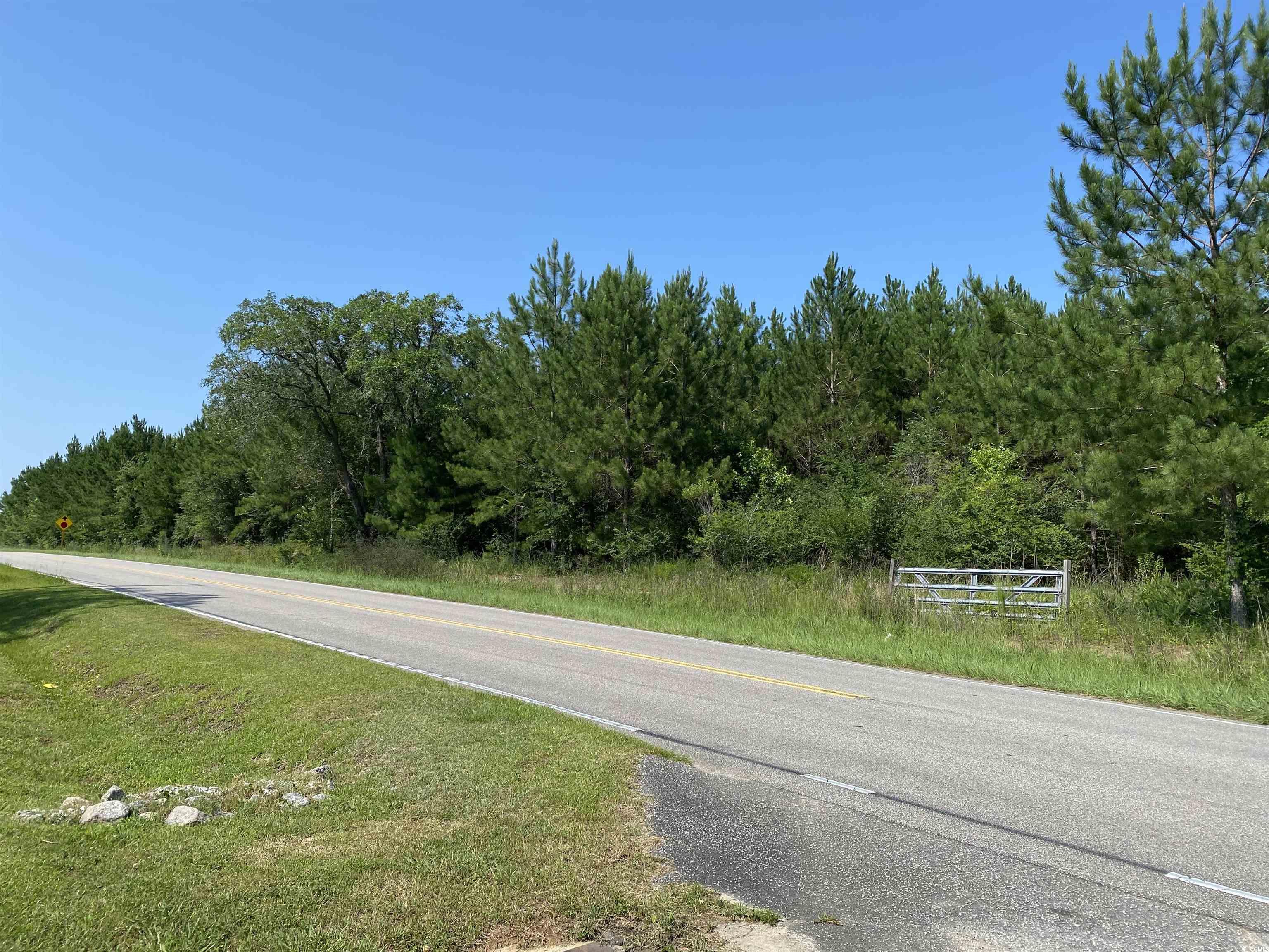 TBD Oak St., Conway, South Carolina image 8