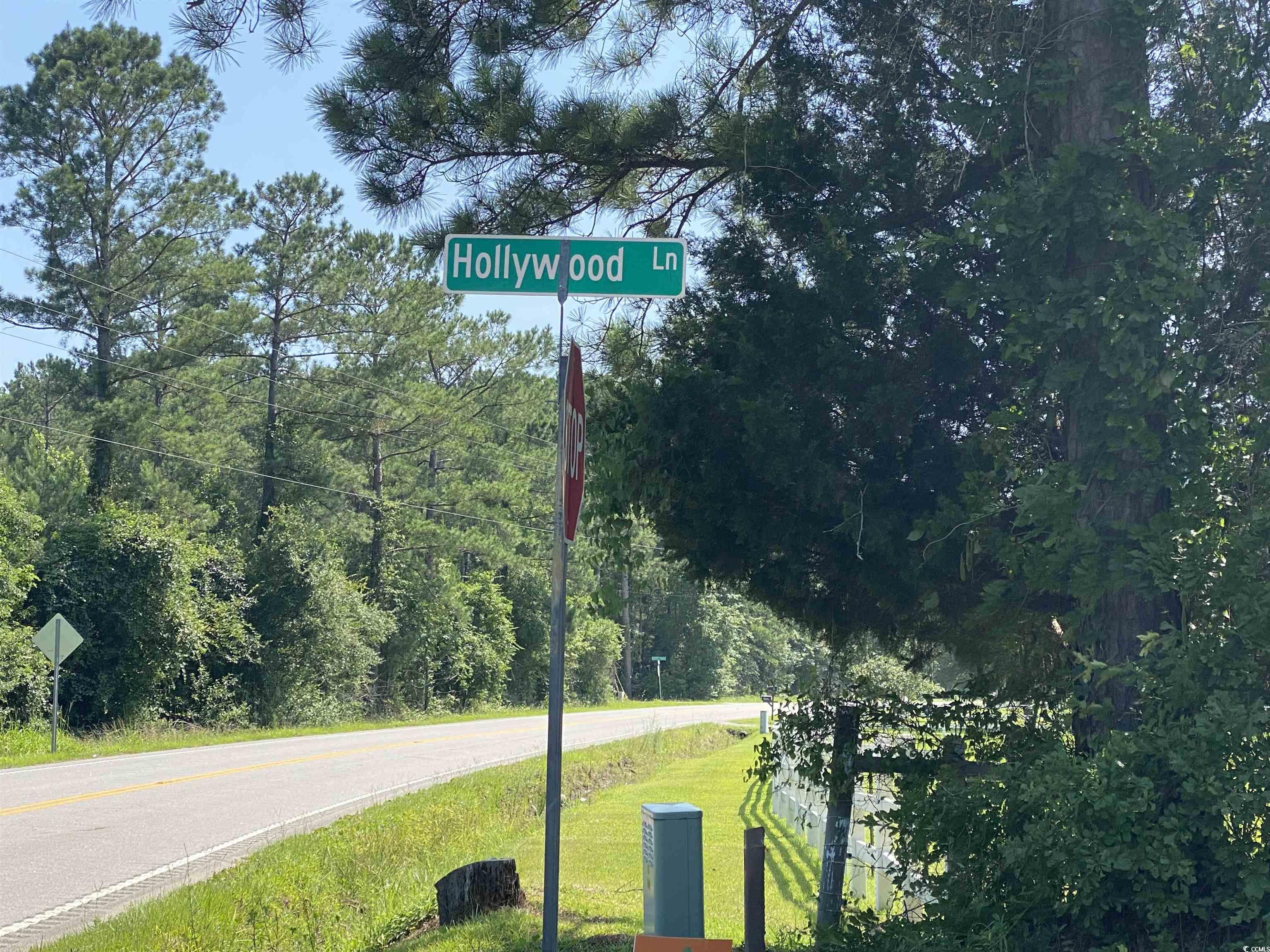 TBD Hollywood Ln., Conway, South Carolina image 1