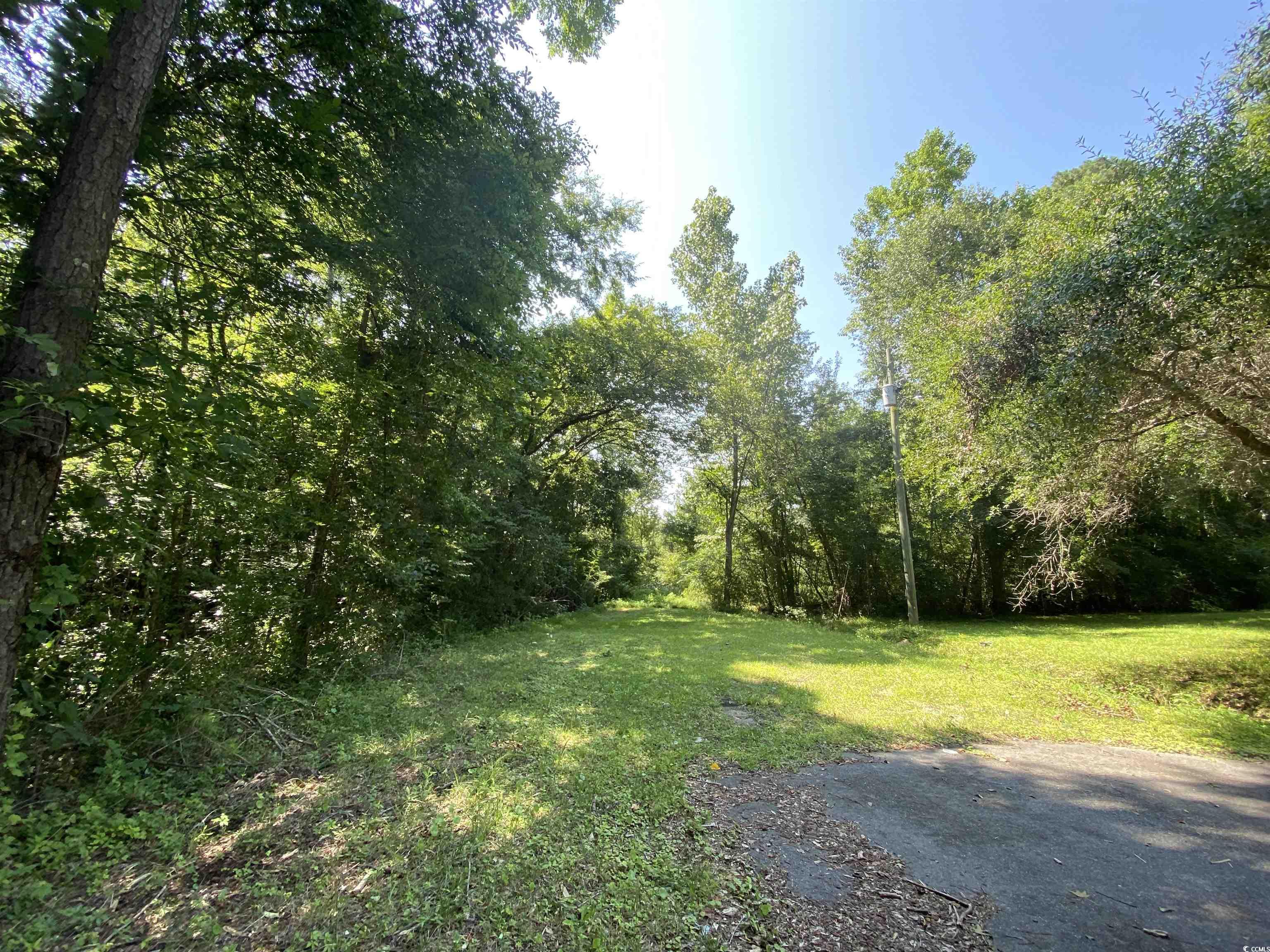 TBD Hollywood Ln., Conway, South Carolina image 4
