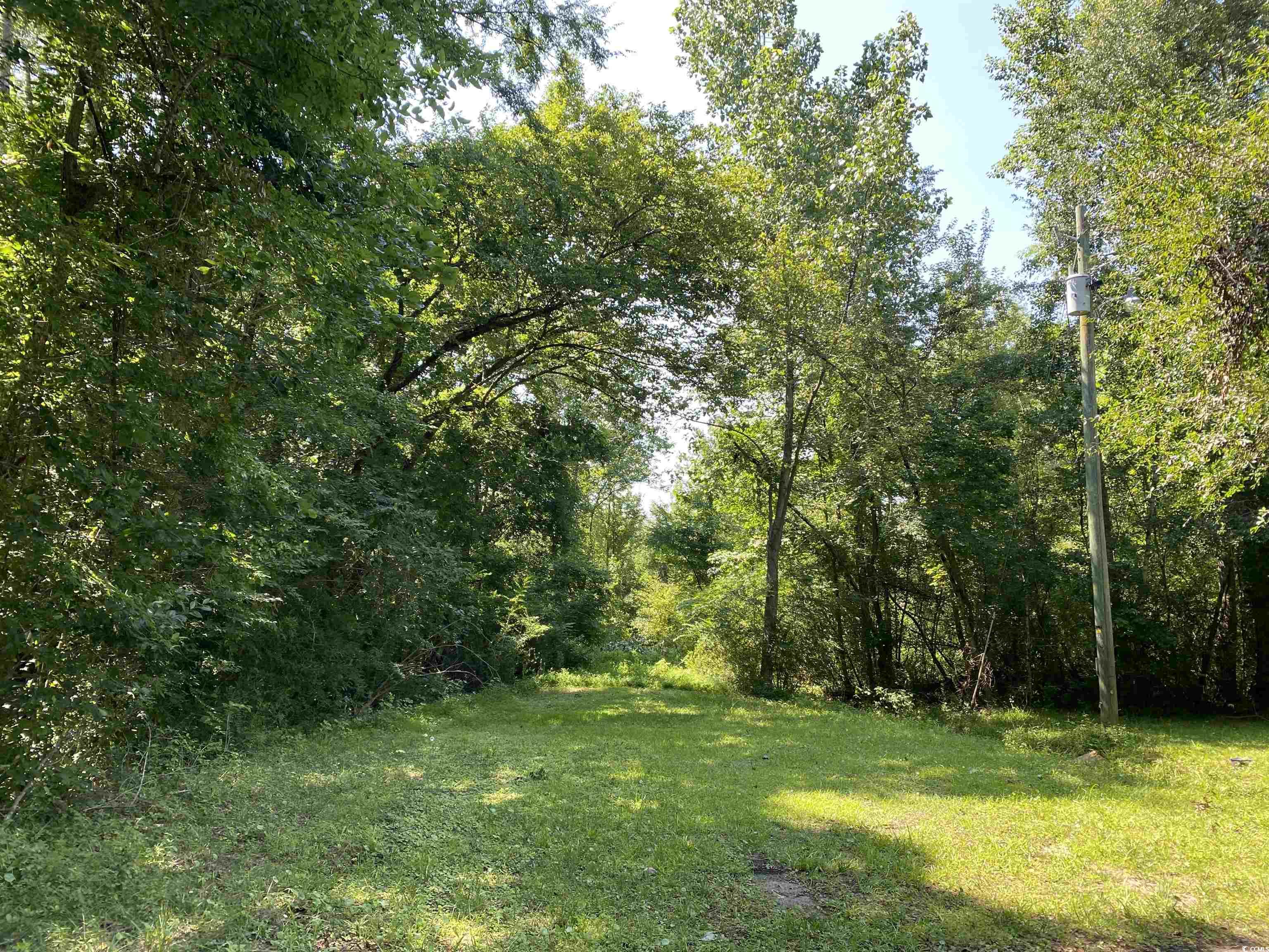 TBD Hollywood Ln., Conway, South Carolina image 5
