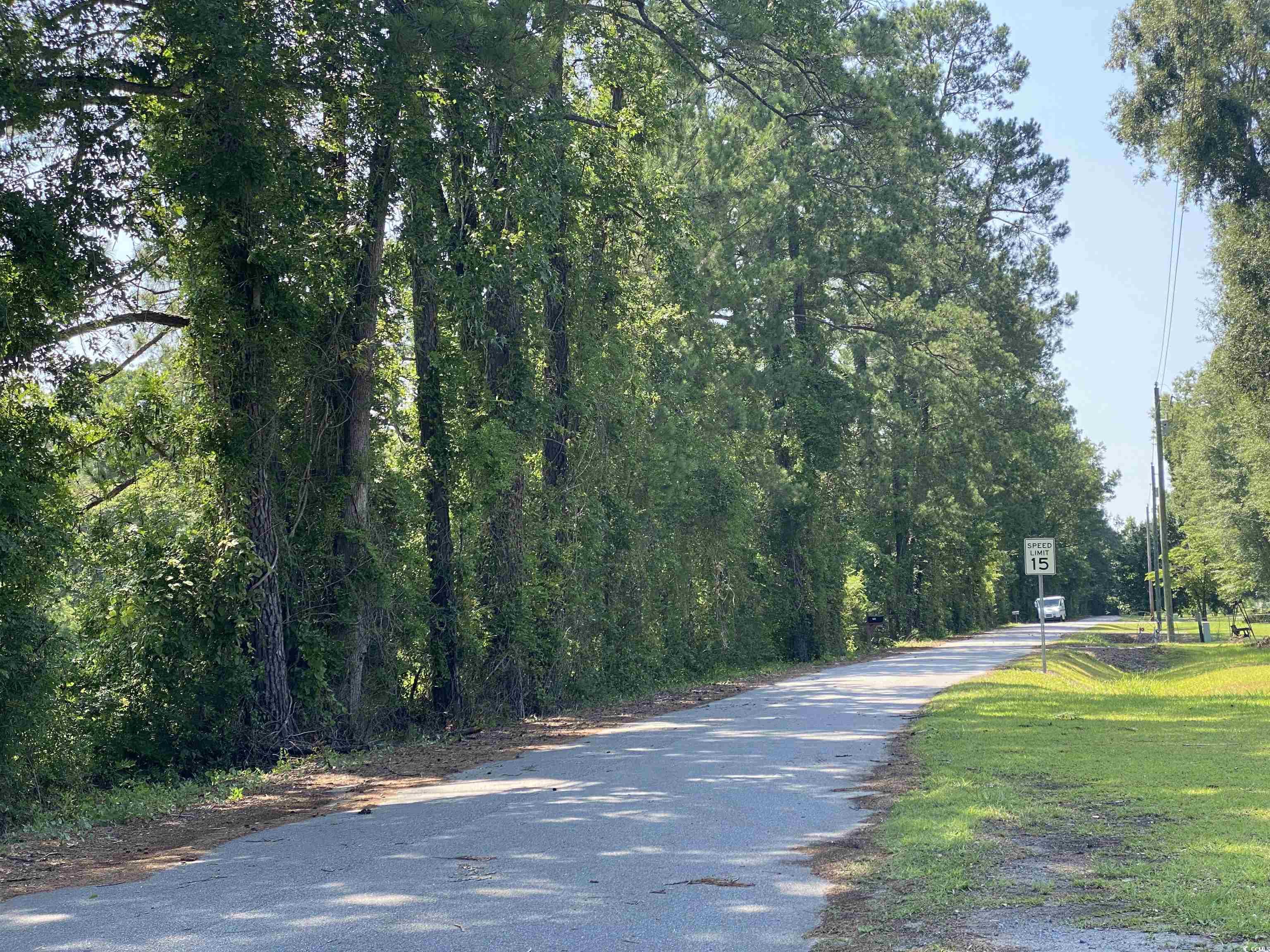 TBD Hollywood Ln., Conway, South Carolina image 7