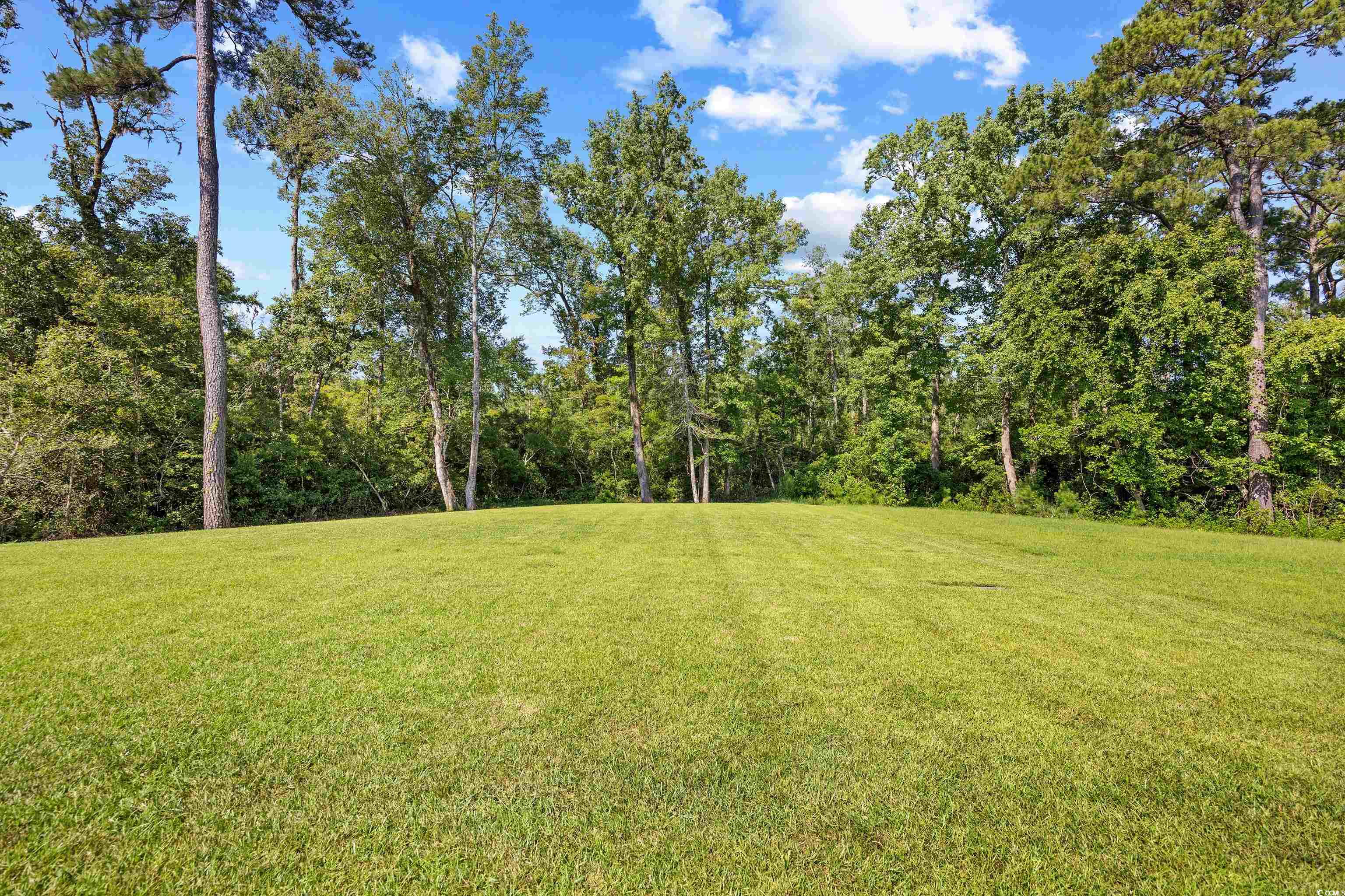 518 Rose Fountain Dr., Myrtle Beach, Texas image 38