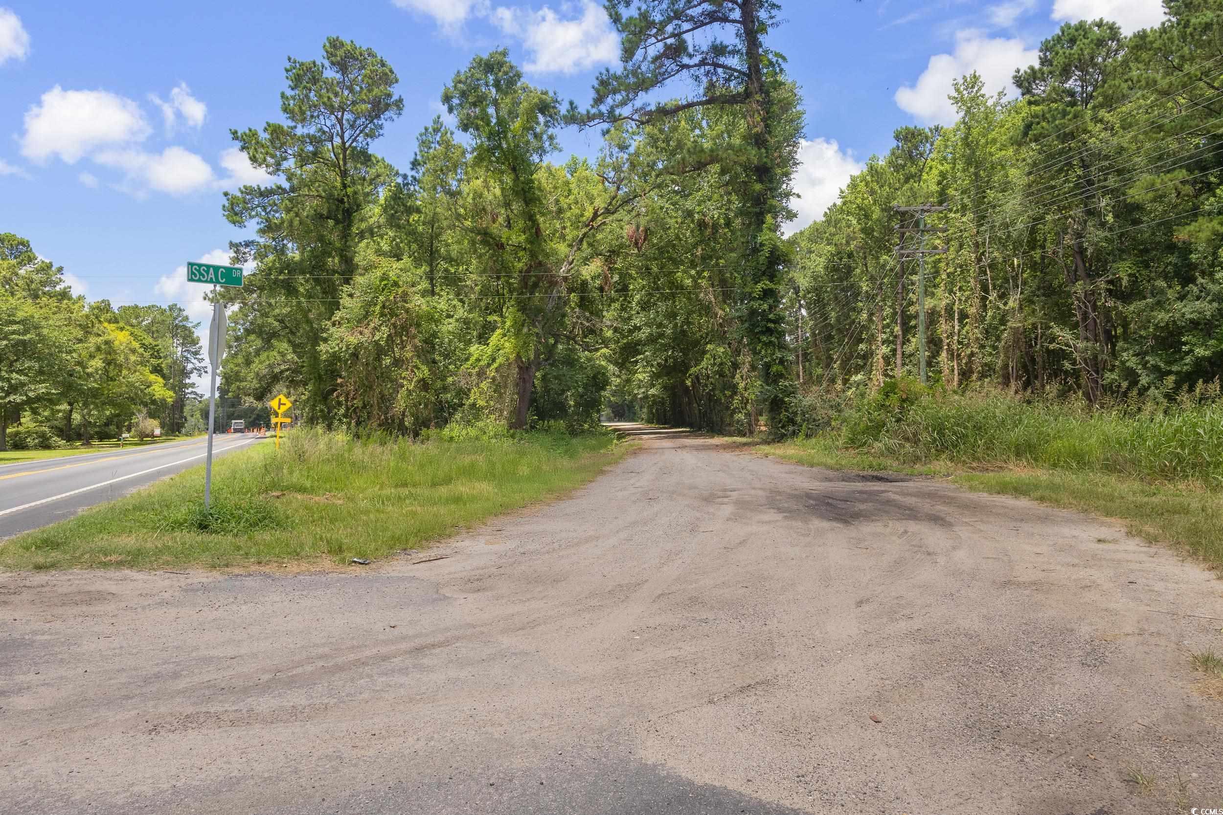 Highway 90, Conway, South Carolina image 3