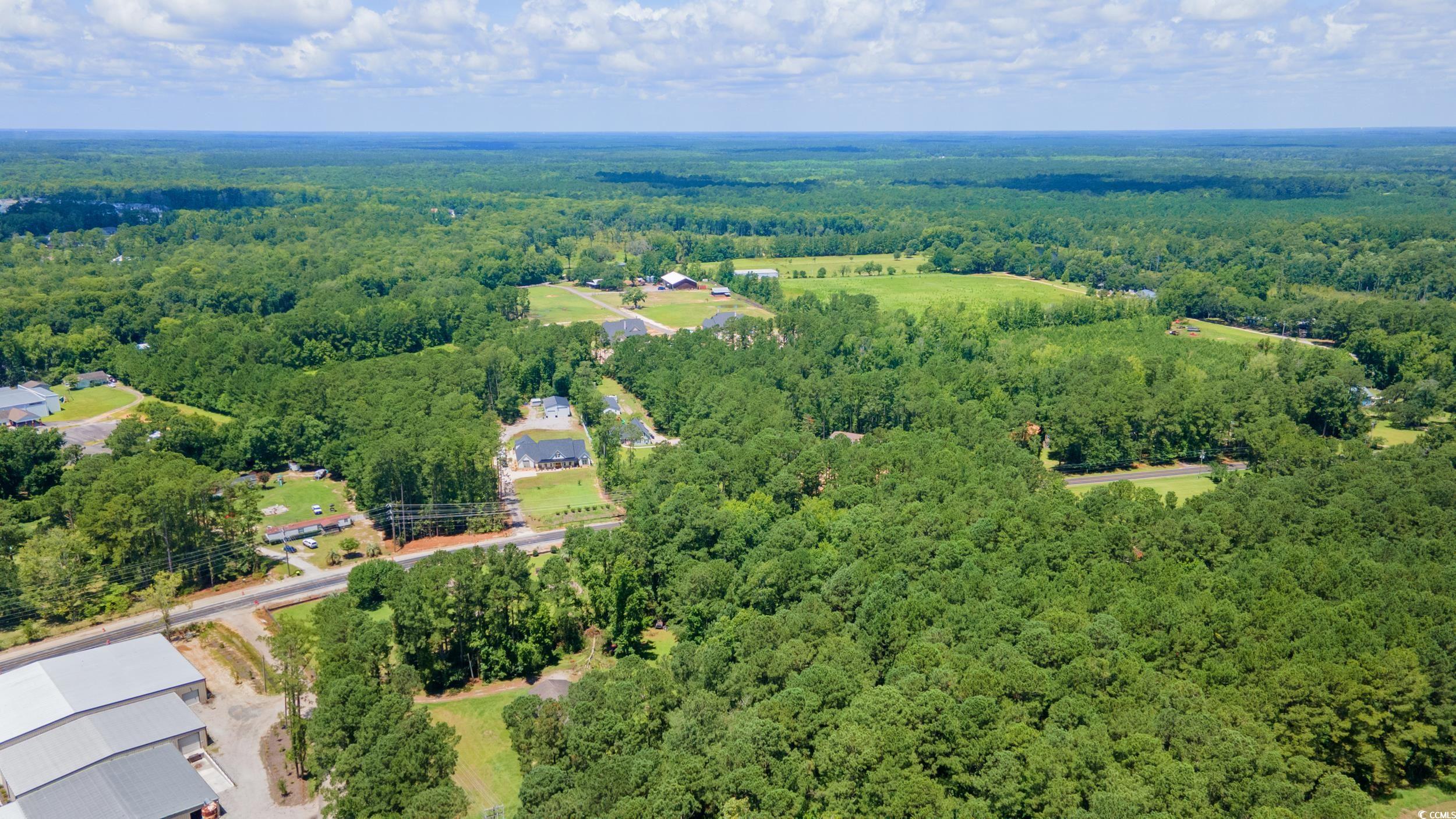 Highway 90, Conway, South Carolina image 5