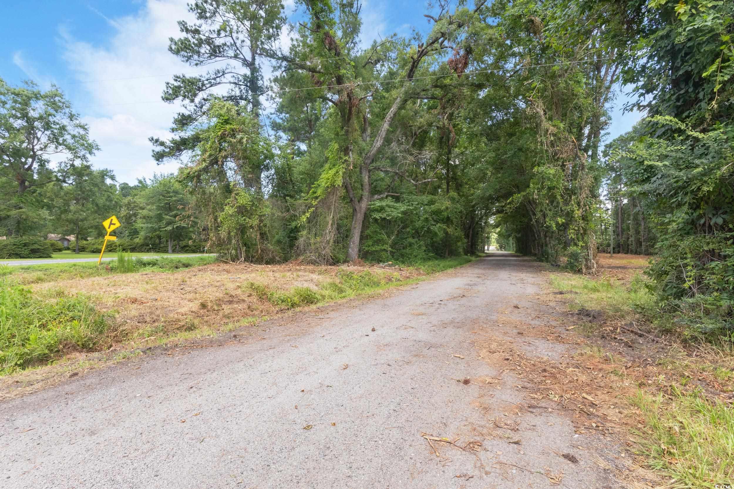 TBD Issac Dr., Conway, South Carolina image 3