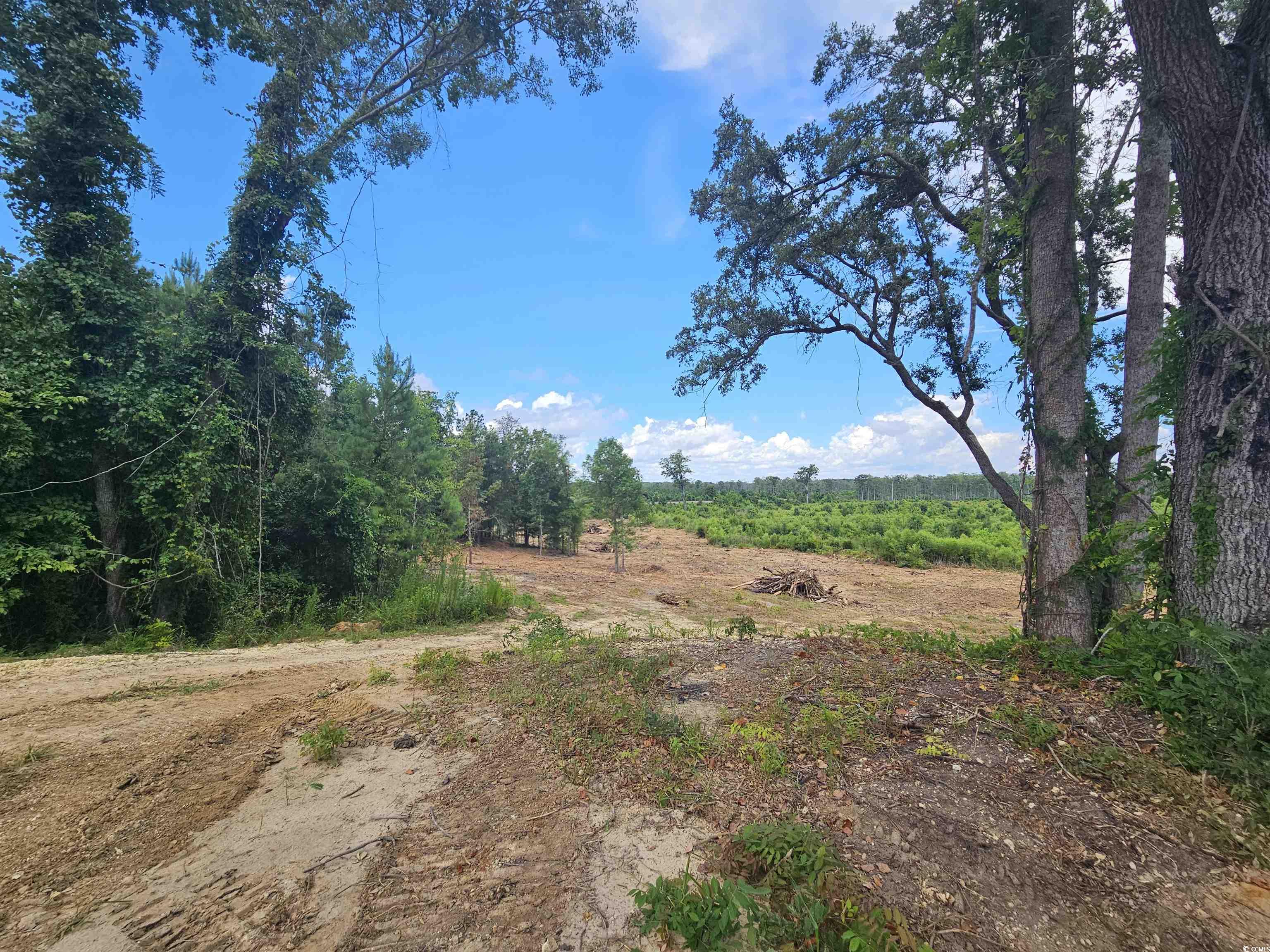 157 Mingo Chandler Rd., Nesmith, South Carolina image 1