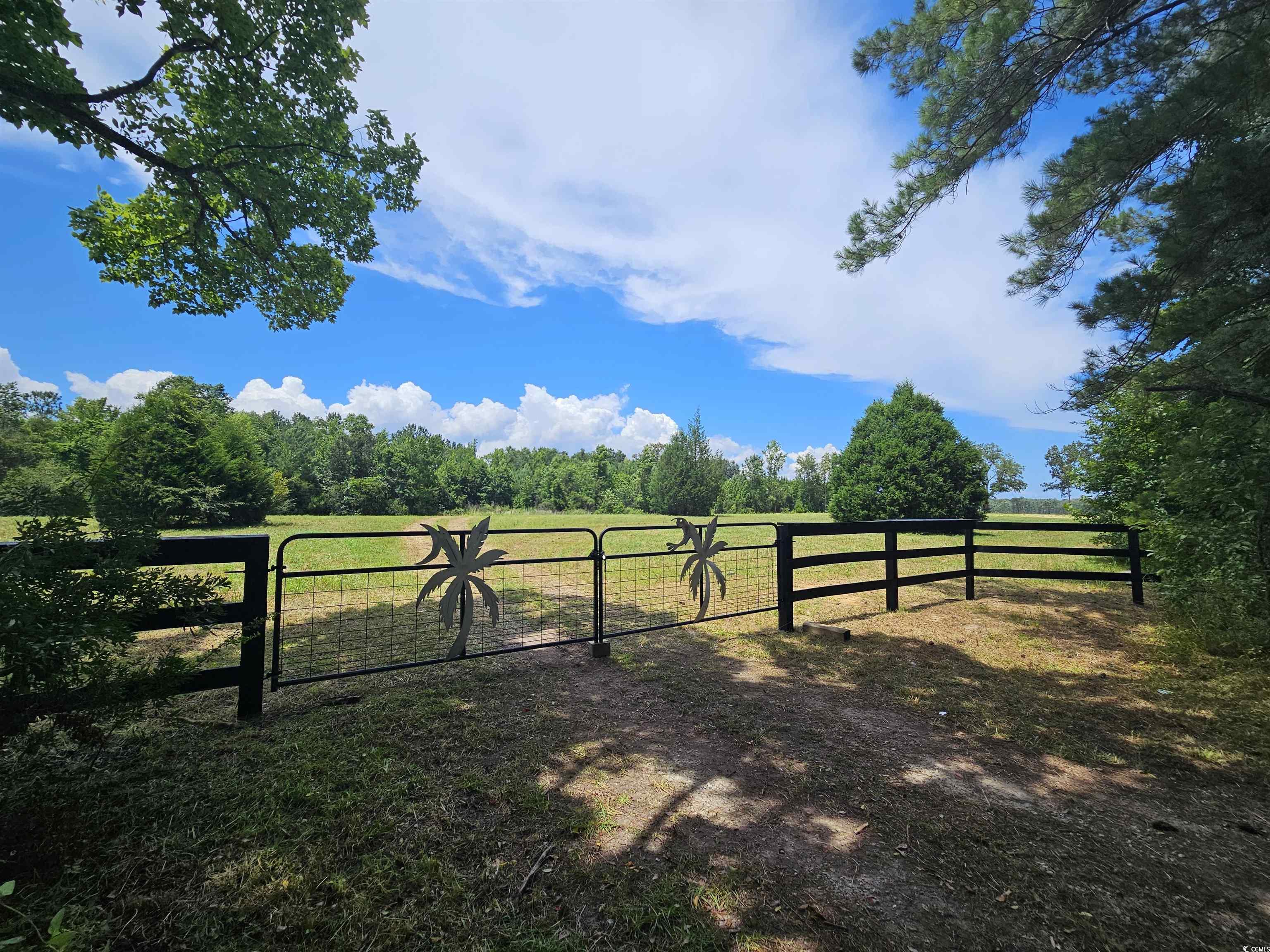 157 Mingo Chandler Rd., Nesmith, South Carolina image 2