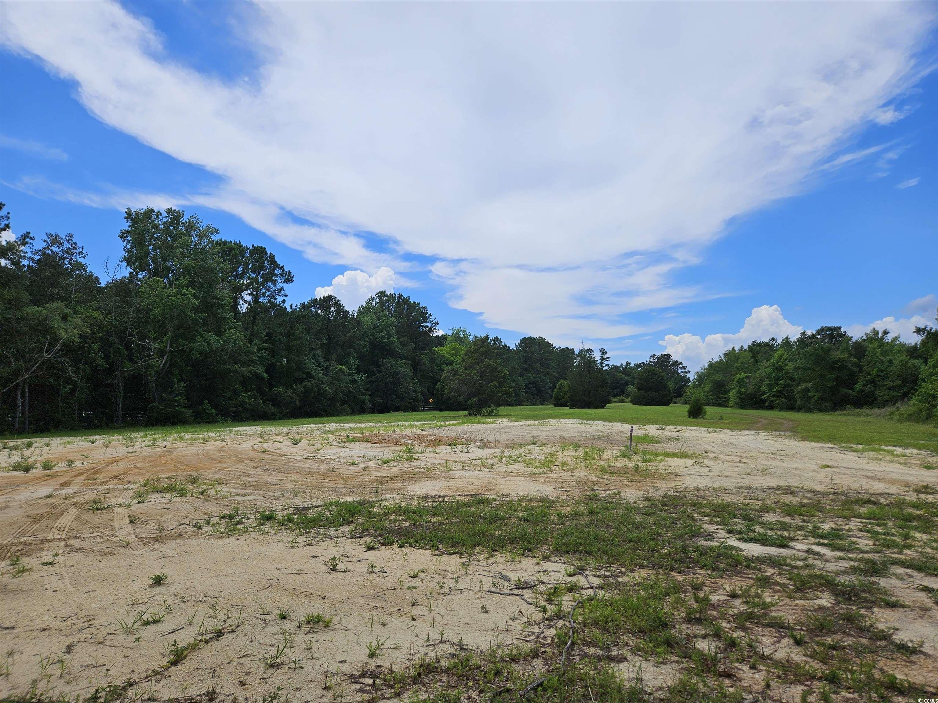 157 Mingo Chandler Rd., Nesmith, South Carolina image 3