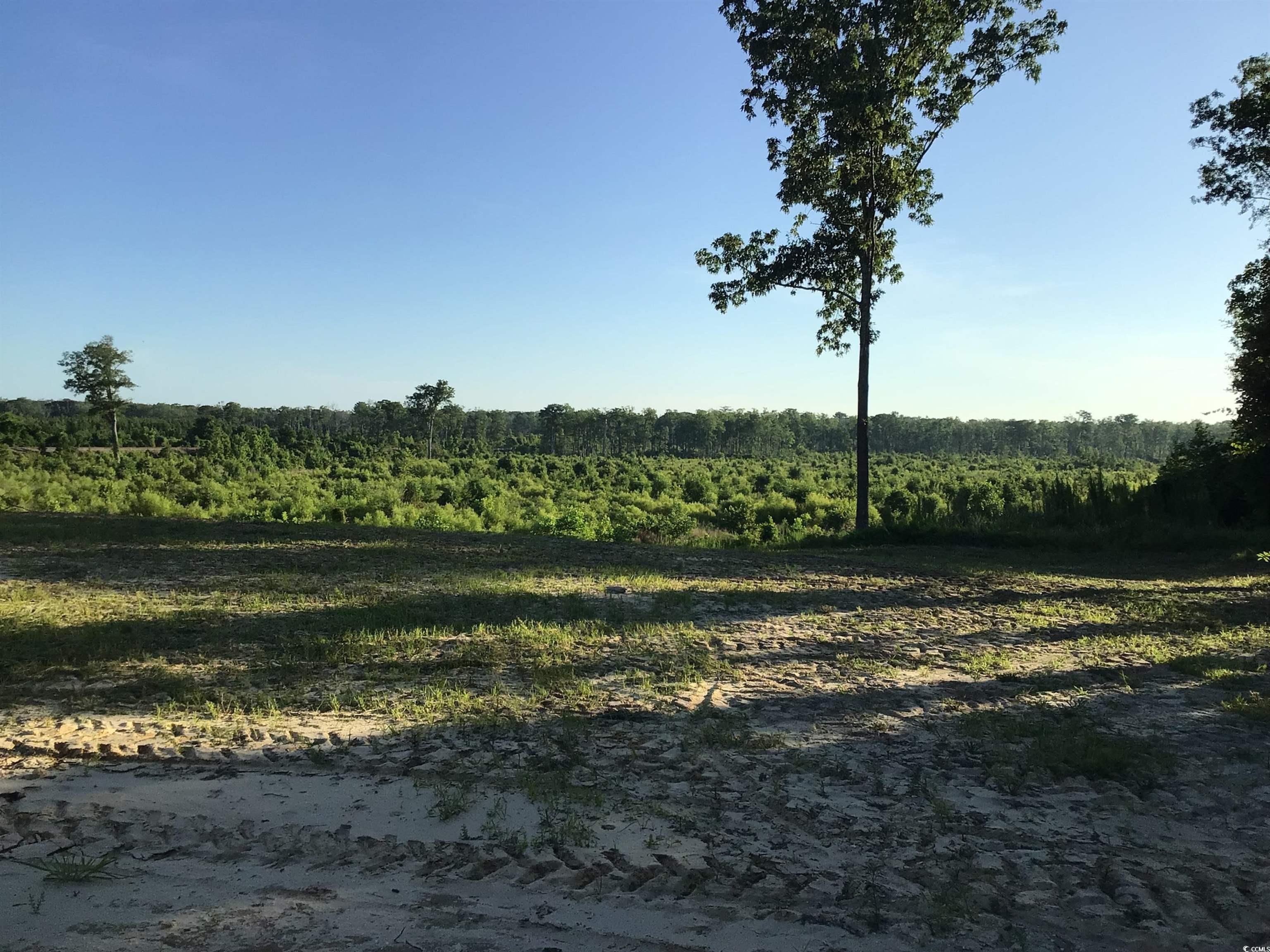 157 Mingo Chandler Rd., Nesmith, South Carolina image 6