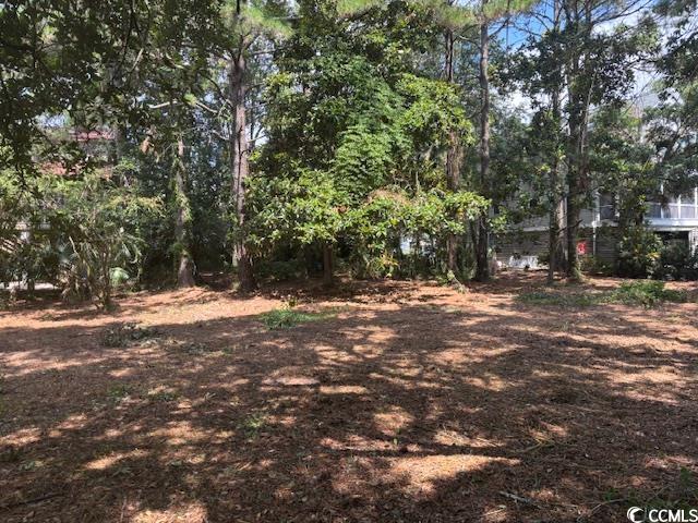 59 Hook Dr., Pawleys Island, South Carolina image 13