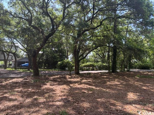 59 Hook Dr., Pawleys Island, South Carolina image 17