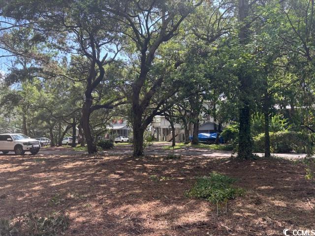 59 Hook Dr., Pawleys Island, South Carolina image 18